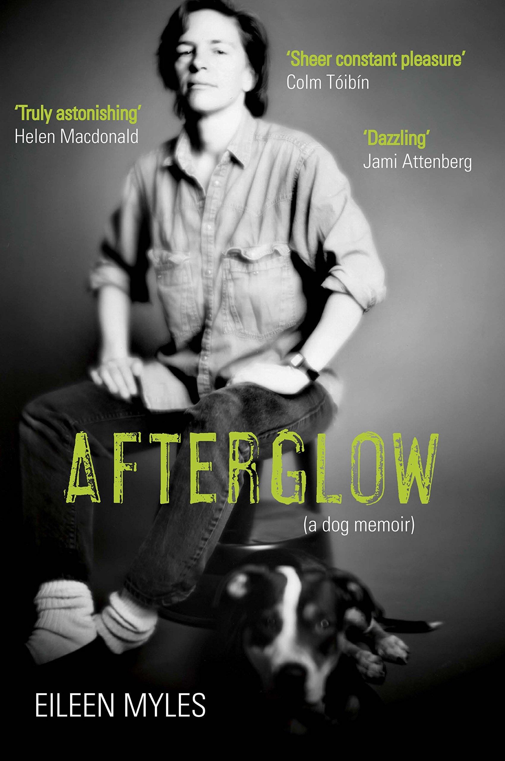 Afterglow A Dog Memoir by Eileen Myles (Paperback Book)