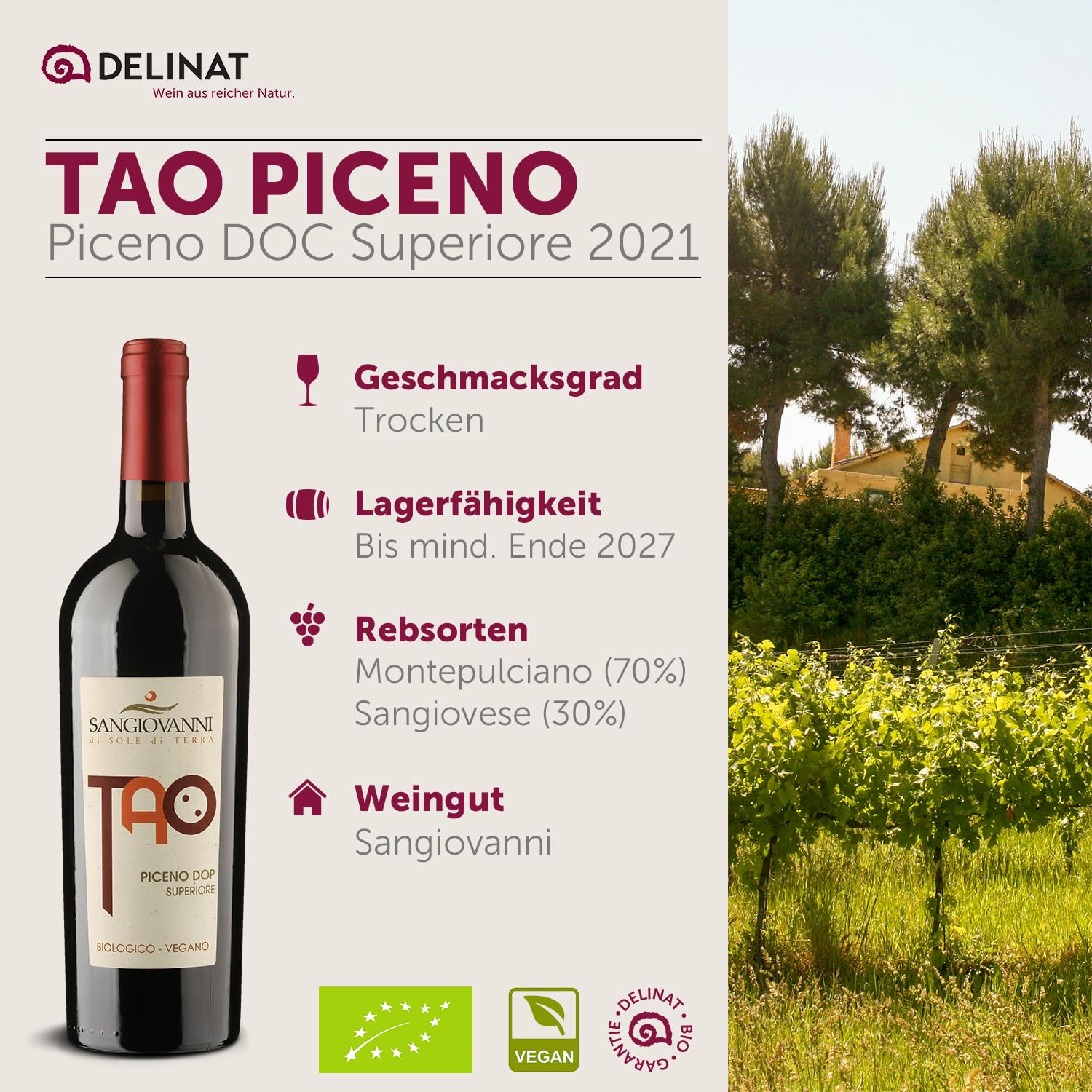 DELINAT Bio Rotwein Set Bella Italia – 6 Flaschen Italien Probierpaket | Rotwein aus den Rebsorten Primitivo, Ripasso & Nero d'Avola – 5x trocken, 1x halbtrocken, veganer Premium Wein 6 x 0,75l