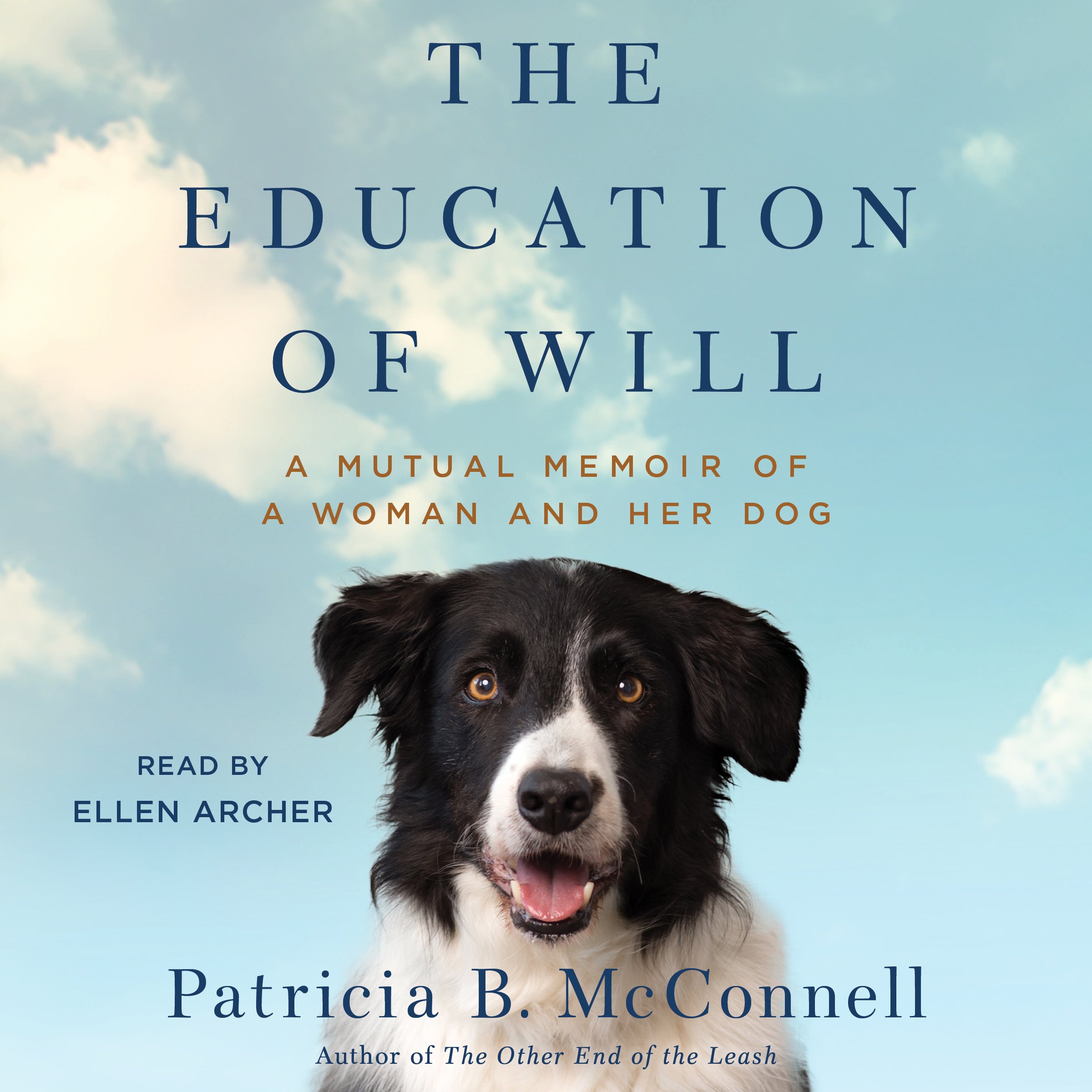 Cover art for The Education of Will