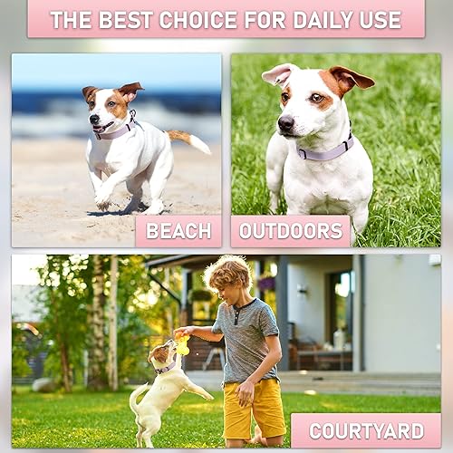 Miniatura 7 de Biothane - Collar de perro con hebilla de cobra, fabricado en Estados Unidos, etiqueta de identificación con código QR incluida, collares de perro