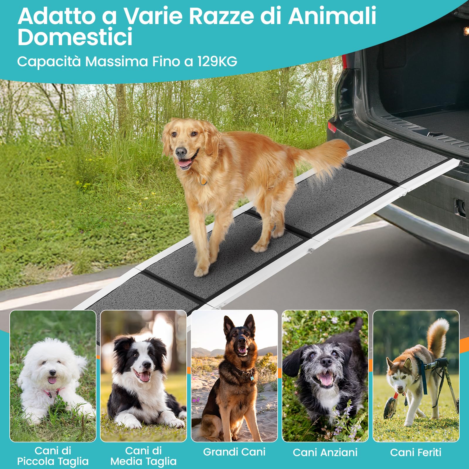 DAISTERN da BSWAY Rampa Auto per Cani Pieghevole 170cm x 44cm, Scaletta Pedana Auto Cane con Superficie Antiscivolo, Telaio Metallo Alluminio, Ideale per Auto SUV Camion Letto, Portata Massima 129KG