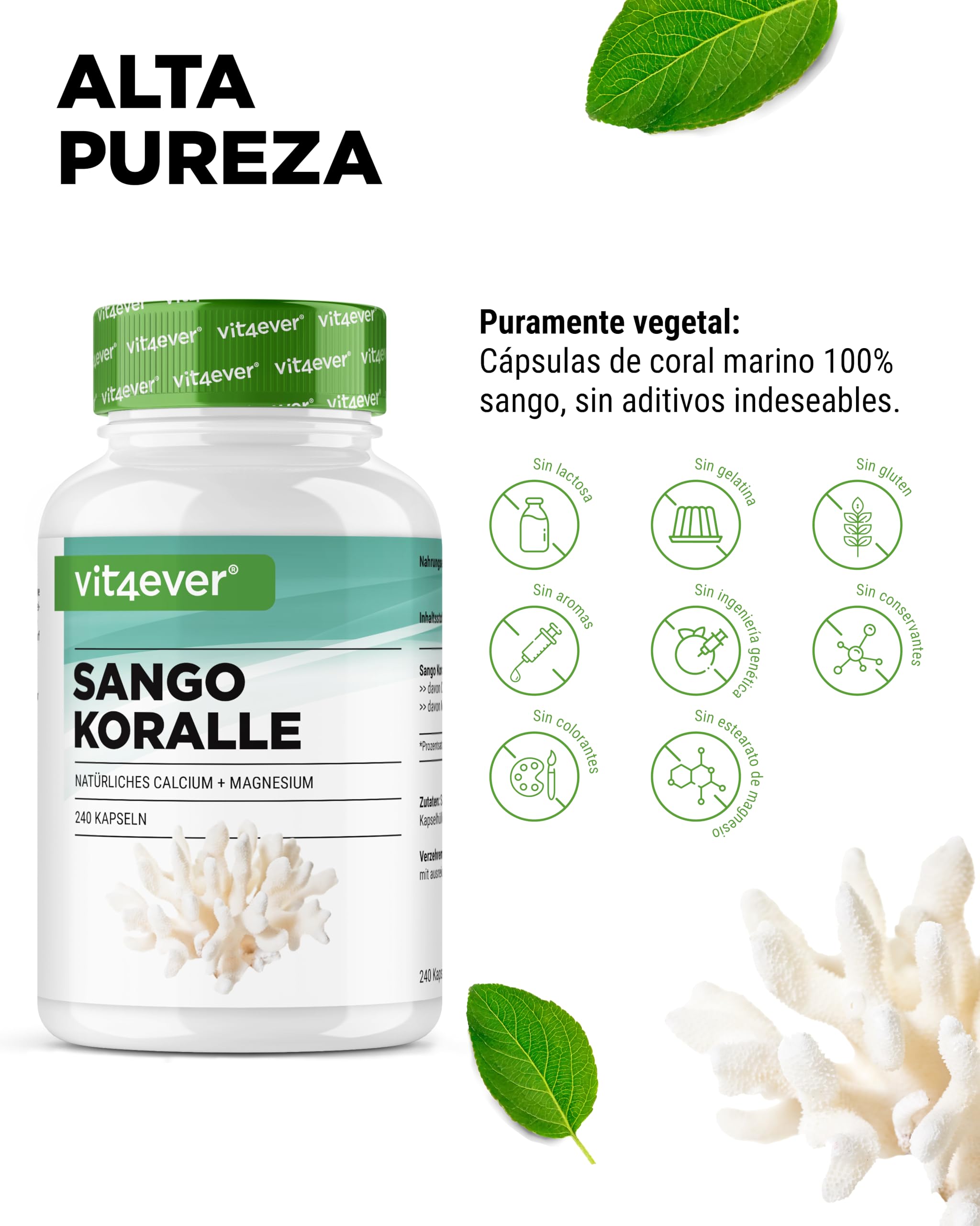 vit4ever Coral Marino Sango - 240 Cápsulas (3 Meses) - 660 mg de Calcio y 330 mg de Magnesio - Fuente natural de Calcio y Magnesio - Alta Dosificación
