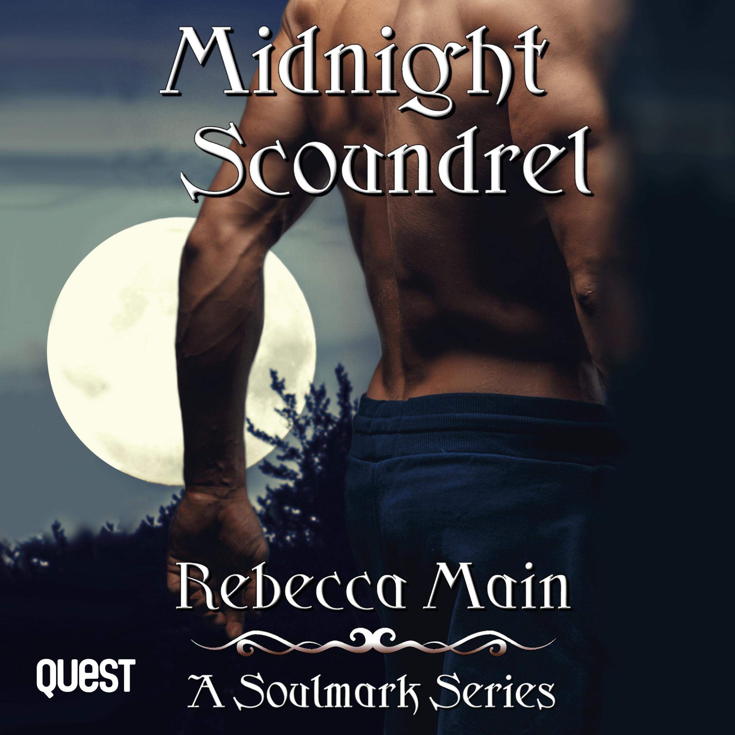 Cover art for Midnight Scoundrel