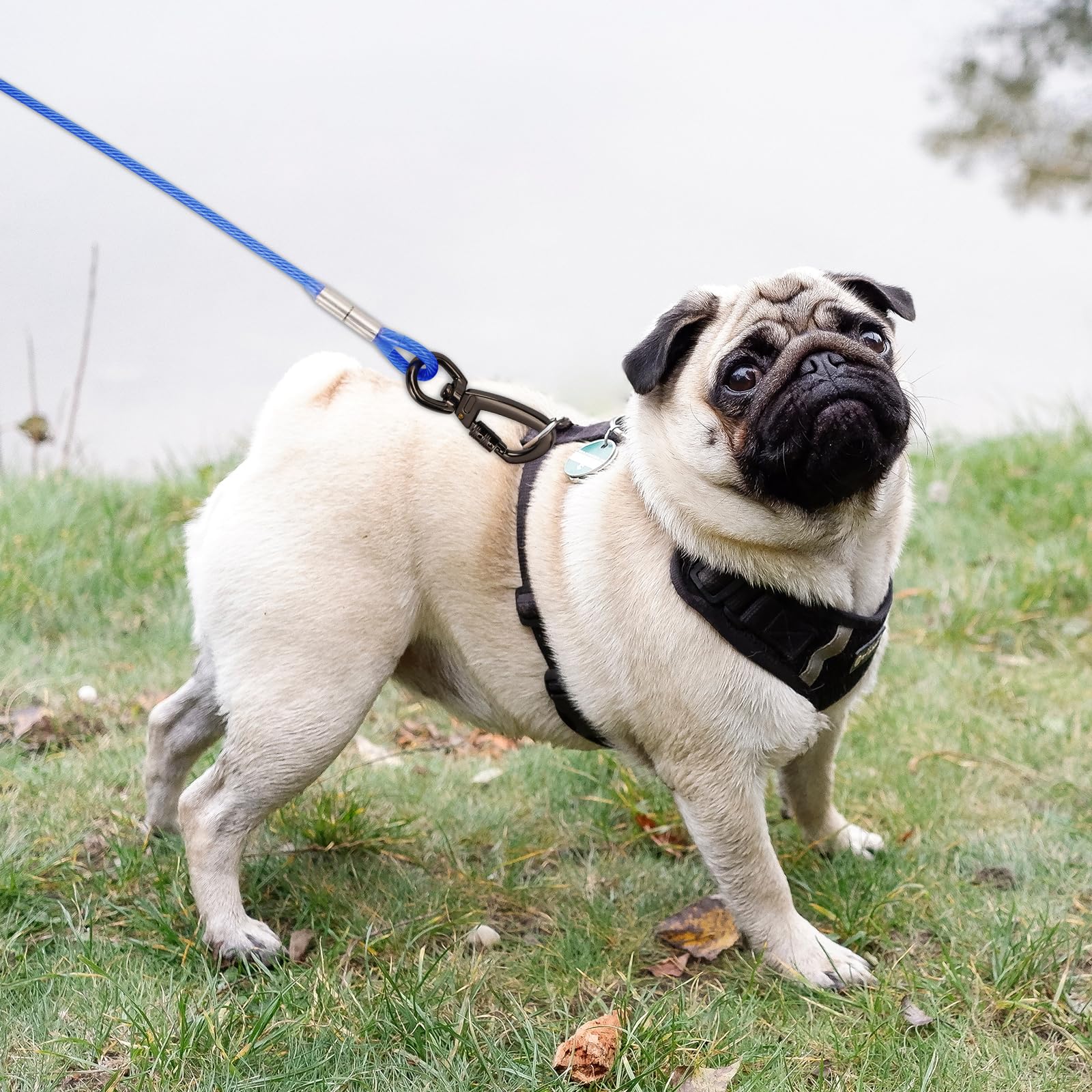 Cable de amarre azul para perros con gancho giratorio de resorte, cadenas de perro resistentes para exteriores, correas de cable para patio, camping, para perros de hasta 500 libras (3 m)
