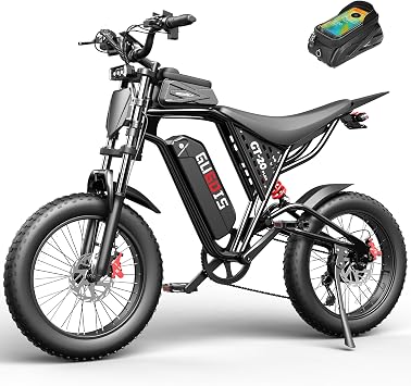 Rakowe Electric Bike for Adults, 2000W Peak Motor, 20" Fat Tire Electric Dirt Bike, 48V Removable Battery, Up to 80 Miles, Hydraulic Disc Brakes, Full Suspension, 7-Speed Ebike