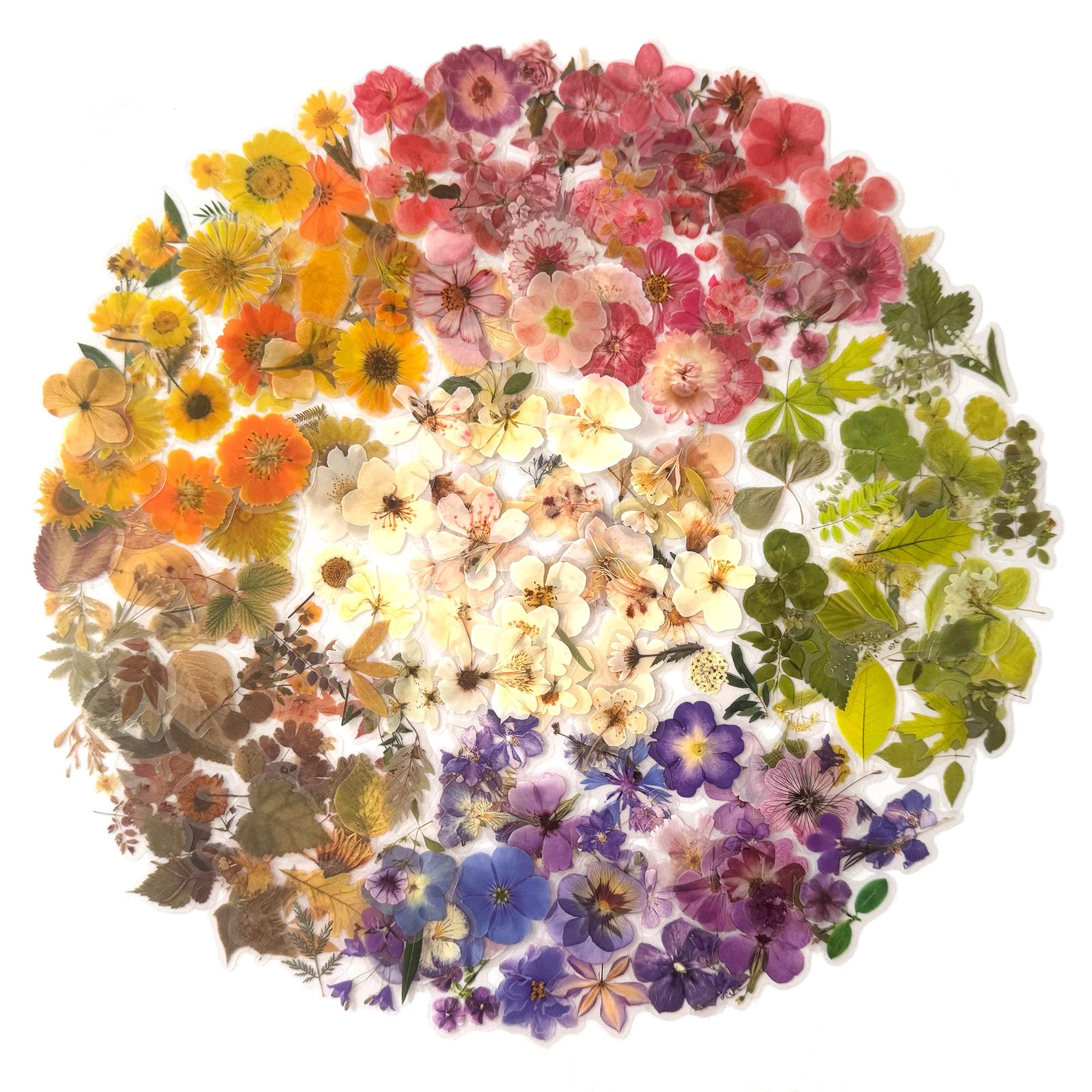 Maxleaf Pressed Flower Stickers Set, 270PCS Dried Flowers Waterproof Stickers Decals Floral Botanical Journaling Stickers for Scrapbook Supplies Junk Journal Bullet Journal Planner Laptops Art Crafts