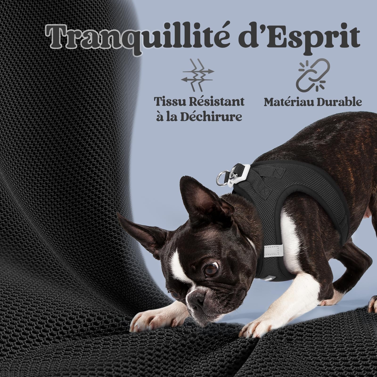 rabbitgoo Harnais Chien Petite Taille Noir S, Harnais Chiot Respirante en Maille Souple, Arnet pour Chien Réfléchissant Facile à Mettre, Gilet Réglable pour Petits et Moyens Chiens pour Marche Course