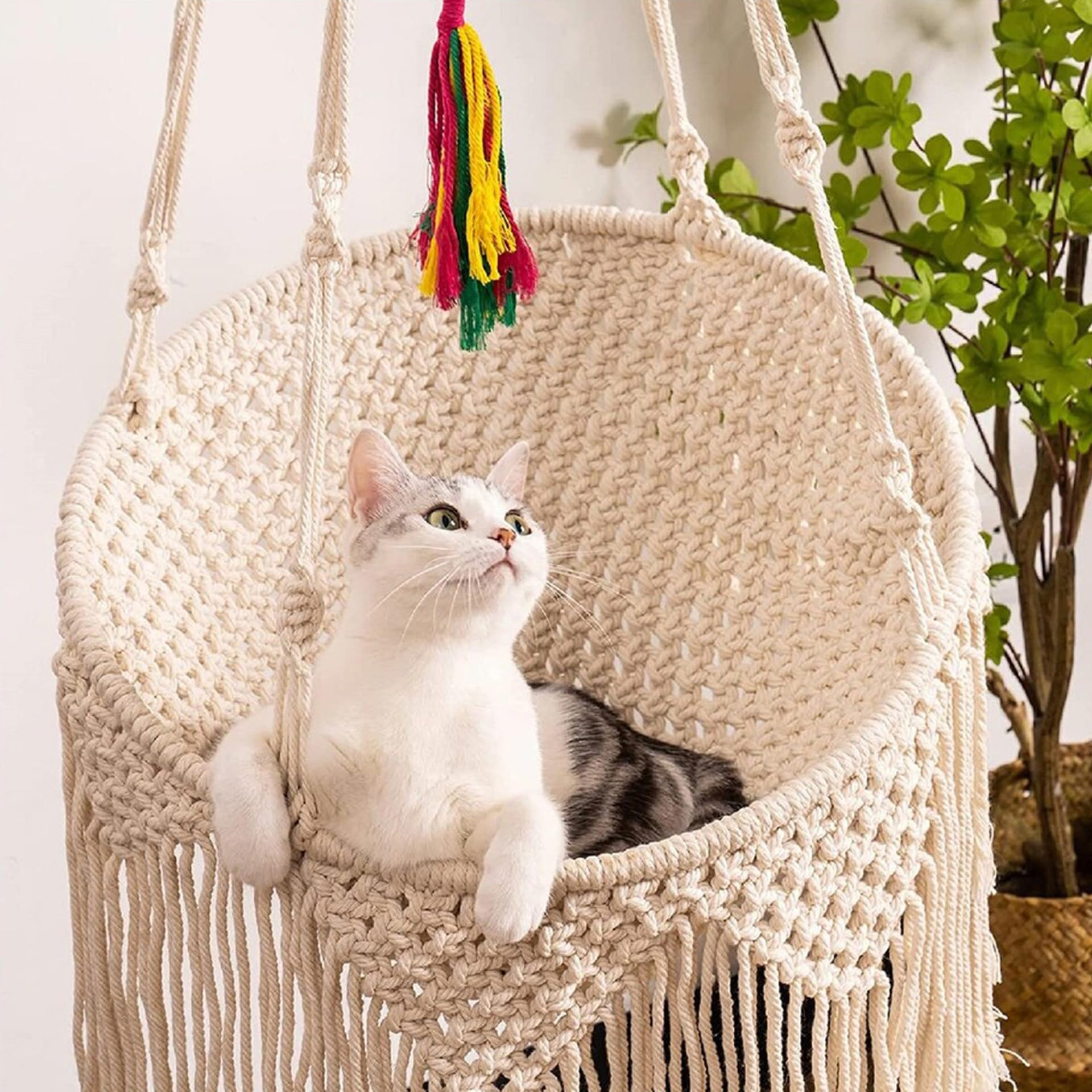Ricemru Katzen Hängematte Bett Outdoor Balkon Makramee Katzenschaukel Hängend mit Korb Wand Handgewebte Katzenhängematte Wandmontage Makramee Katzen Schaukel Hängematte Katzensitz Katzenbett Haustier