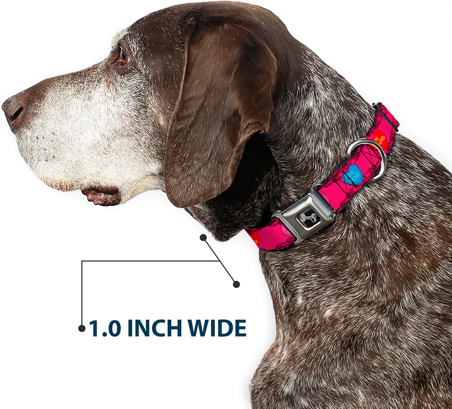 Buckle-Down Dog Collar Seatbelt Buckle Candy Hearts, Multicolor, 1" Wide - Fits 9-15" Neck - Small (DC-W30323-S)