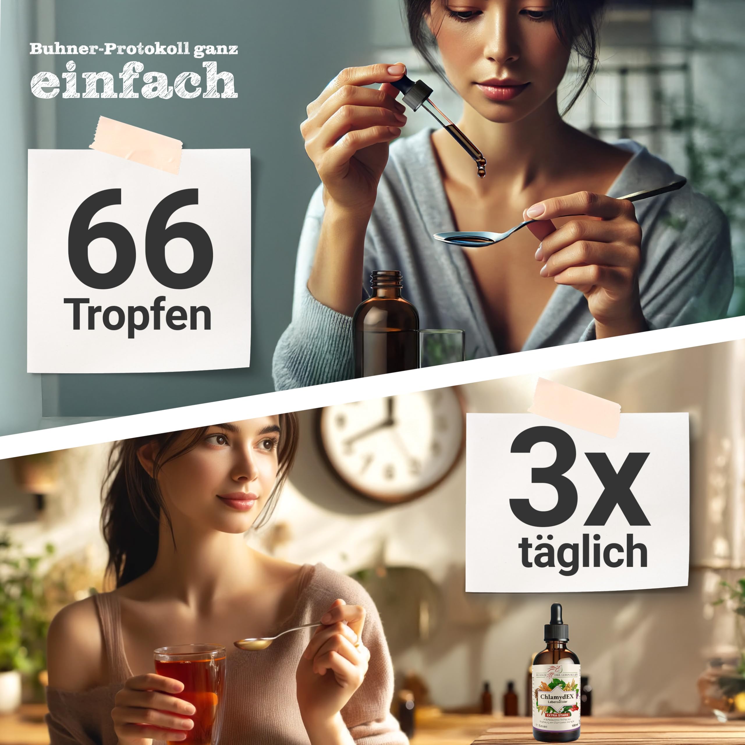 Phoenix der Lebenskraft ChlamydEx Lebenselixier - Hochkonzentriertes Kräuterelexier nach dem Buhner Protokoll - 9 verschiedene Kräuter im 1:1 Extrakt - Unterstützung bei Chlamydien