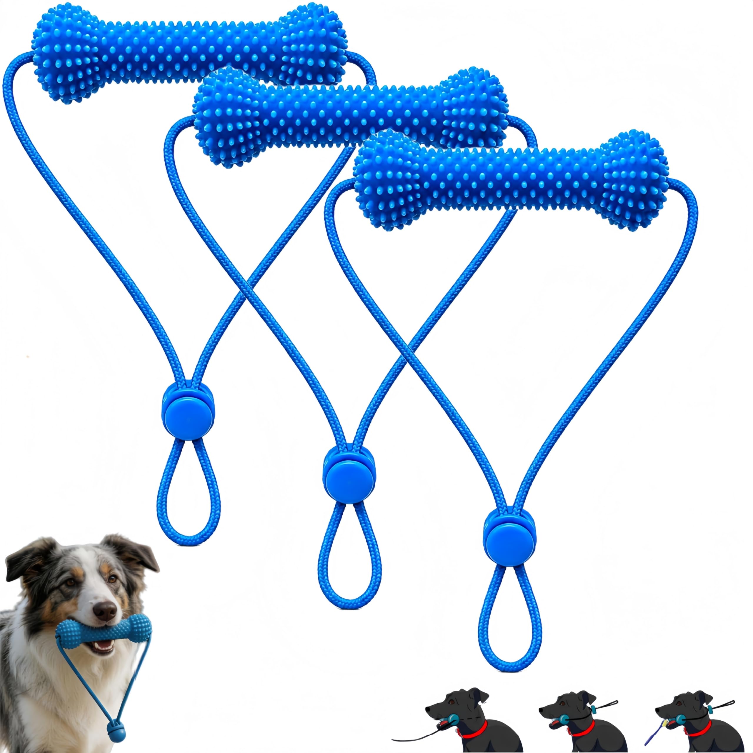 Aide au brossage des dents pour chiens toutes tailles lot de 3