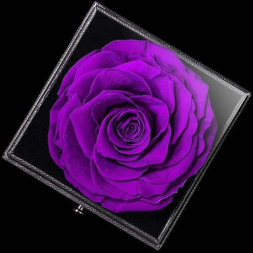 Miniatura 5 de LOVAPPY Eternal Enchanted - Rosa preservada con collar, rosa infinita en caja de amor, hecha de rosa de belleza fresca real, regalos románticos para