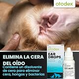 Ver la foto 6