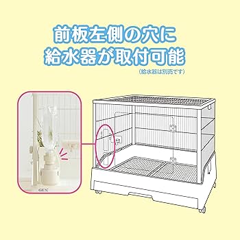 Amazon.co.jp: ジェックス GEX クリアフロント60 クリアな