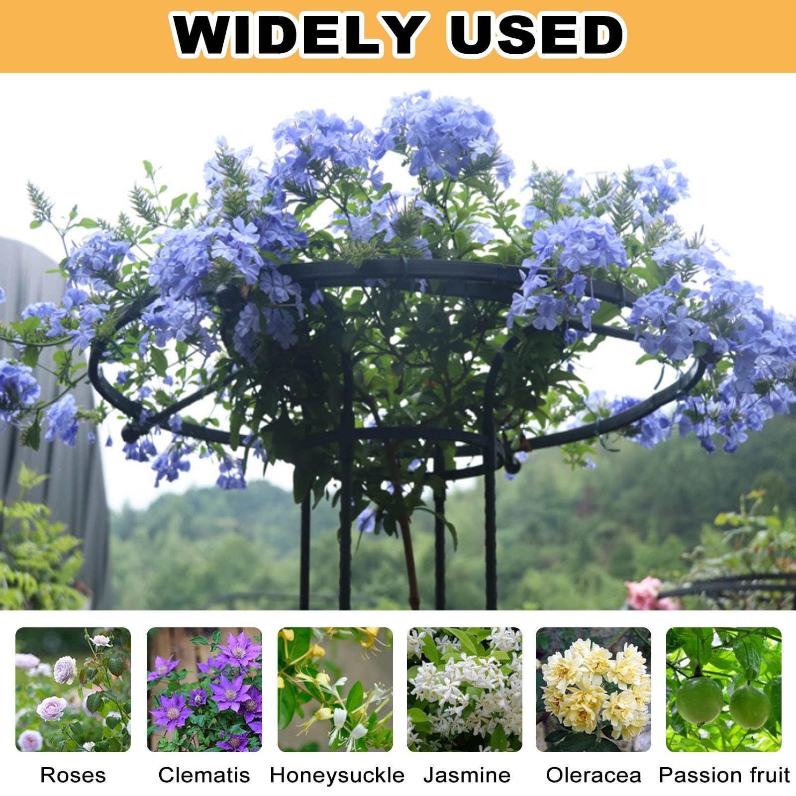 Treillis de jardin pour plantes grimpantes – Cadre haut et léger pour vignes et roses, parfait pour soutenir les plantes en pot en extérieur