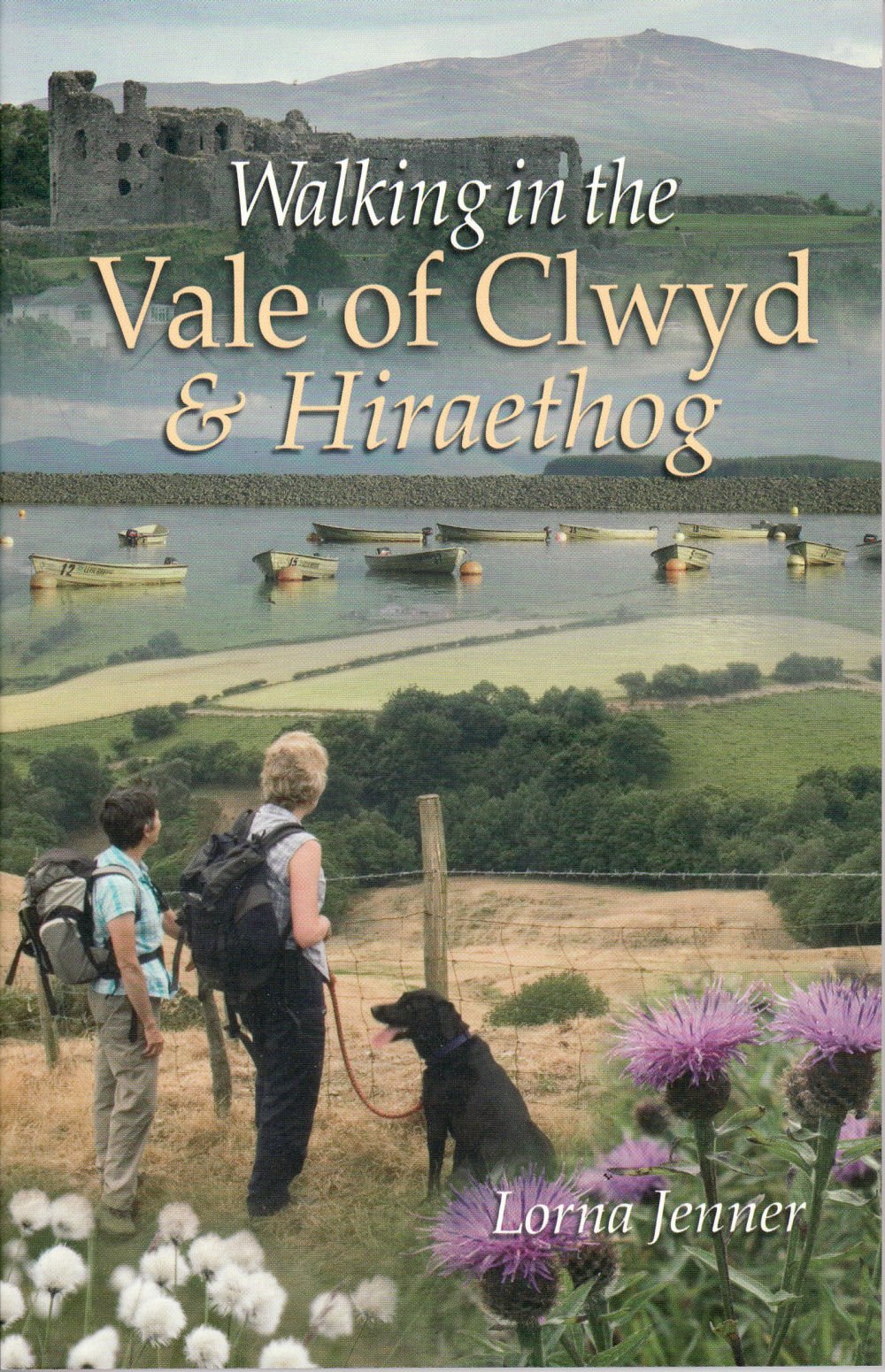 Walking in the Vale of Clwyd - 9780955962530