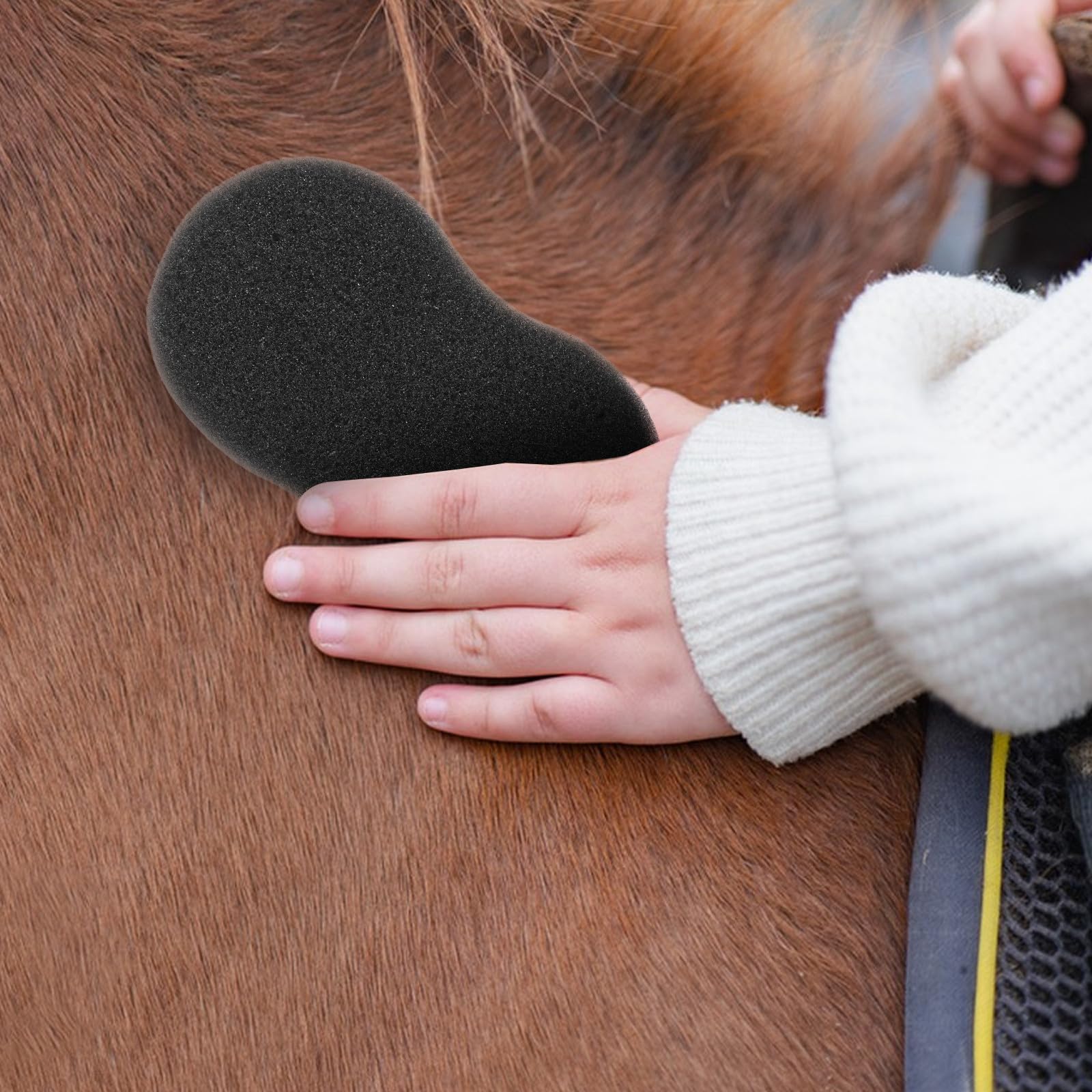 HOMSFOU Herramientas para Baño de Caballos 5 Esponjas Tamaño 20X11 CM para Aseo y Eliminación de Barro en Establos