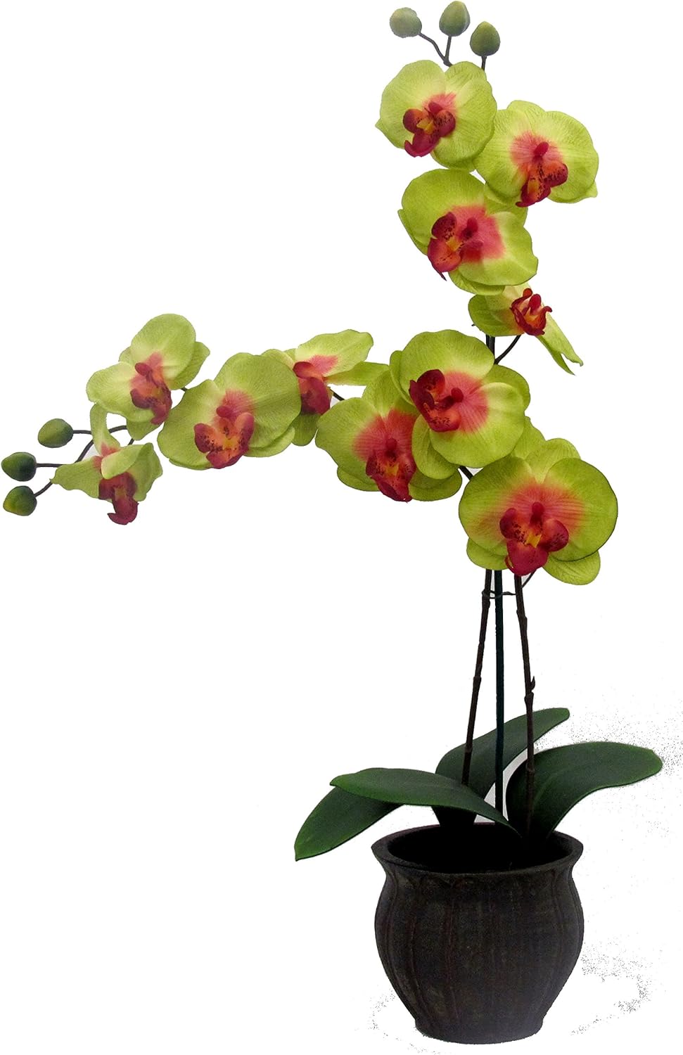 SilkenBloom Artificial Green Pink Silk Flower Orchid