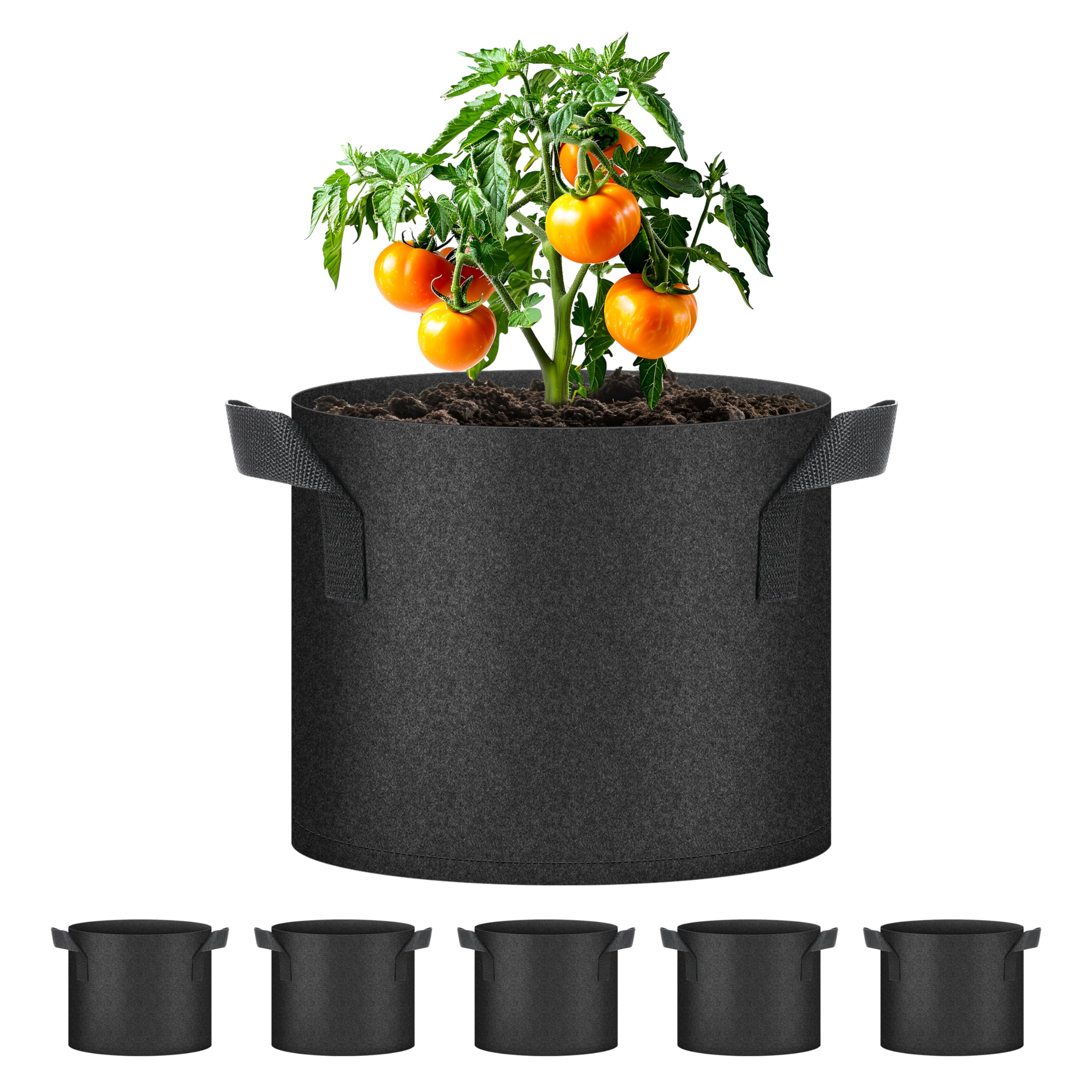 Macetas de 5 galones para huerto urbano en terrazas ideales para sembrar tomates y hierbas