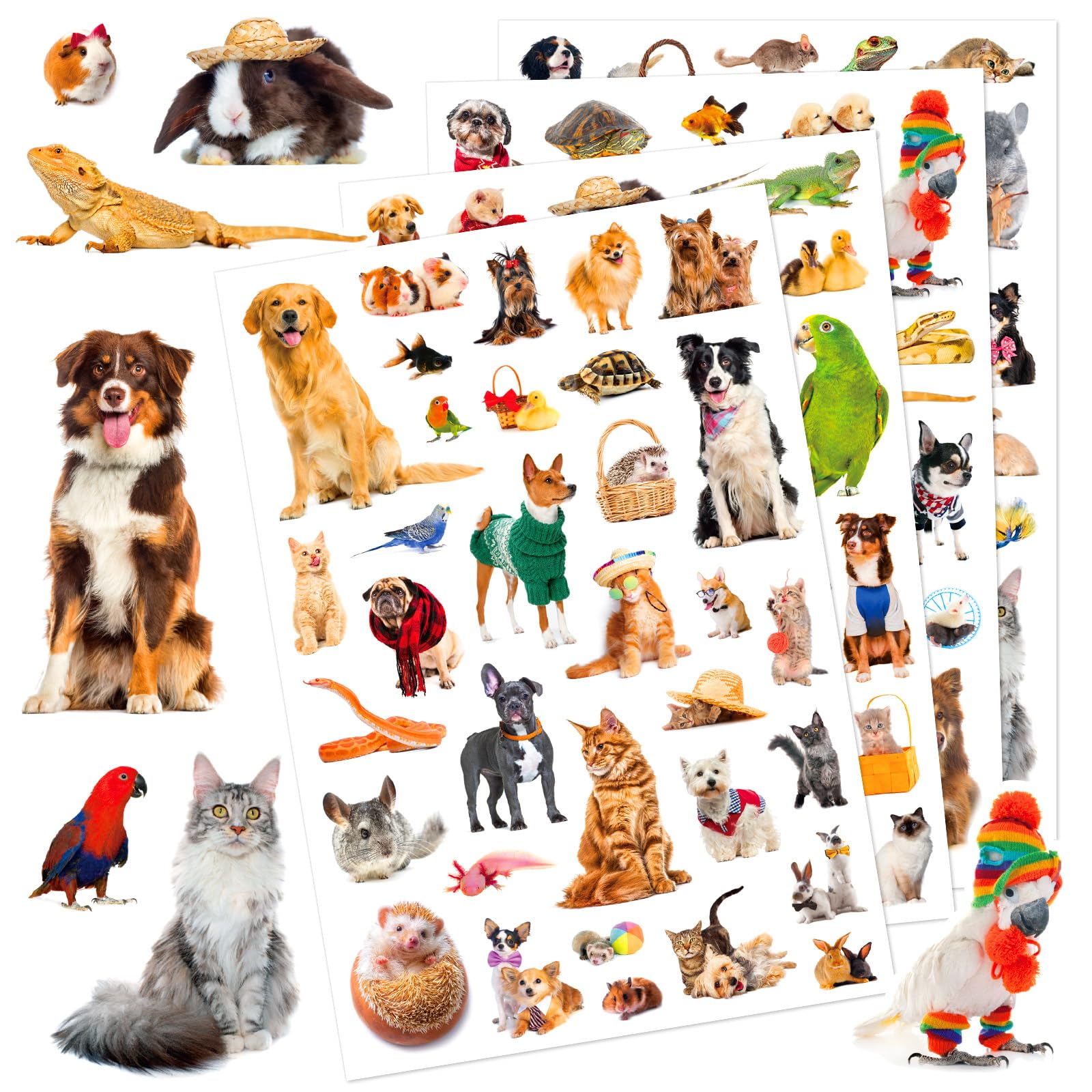Pet Animals Stickers 660 Count Dog Cat Animal Pet Rabbit Parrot Fish Bird Reptiles Stickers Party Favors Gifts Sticky Decor for Scrapbook Calendar Planner Gift Wrap Decor