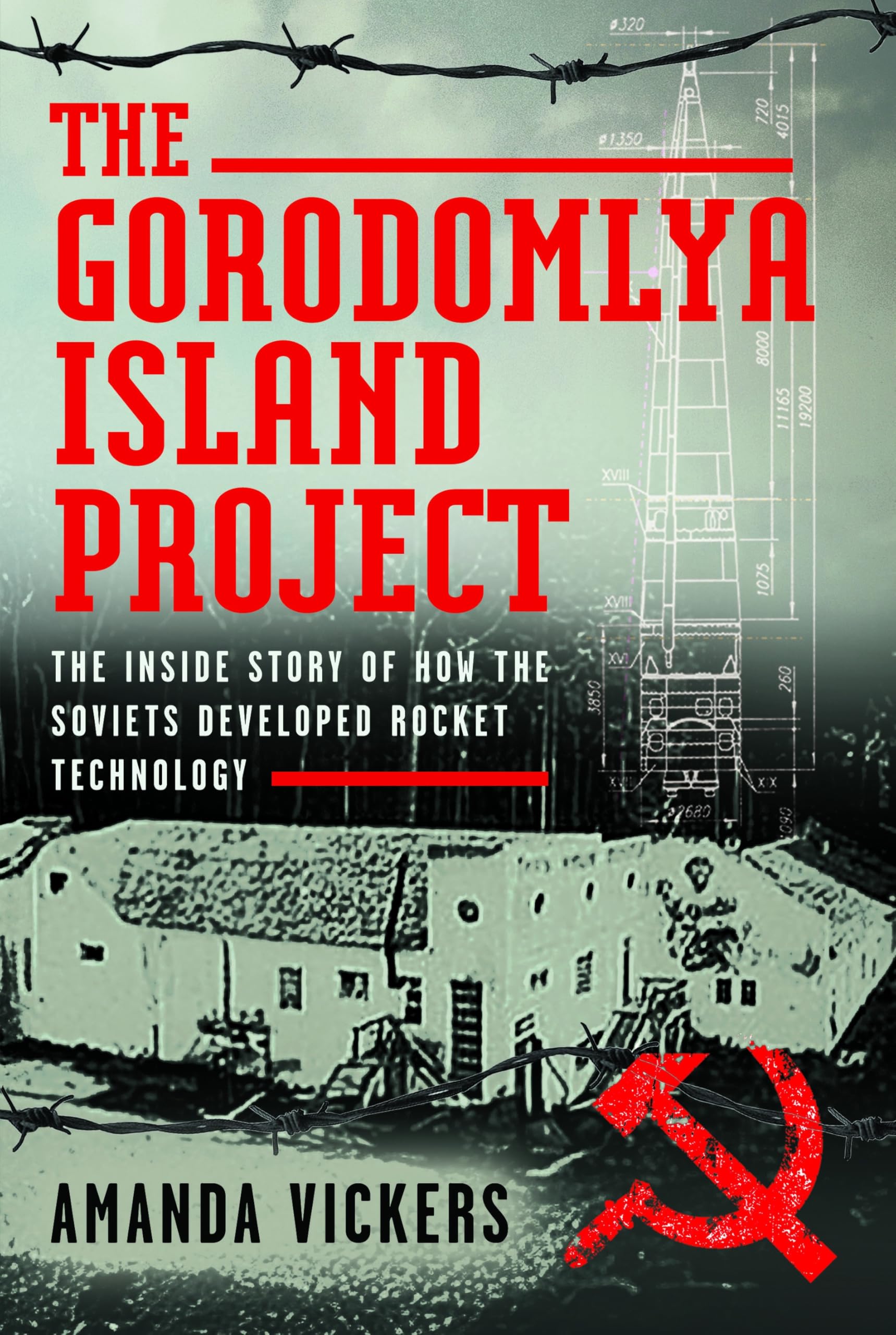 The Gorodomlya Island Project by Amanda Vickers HARDBACK 9781036108823