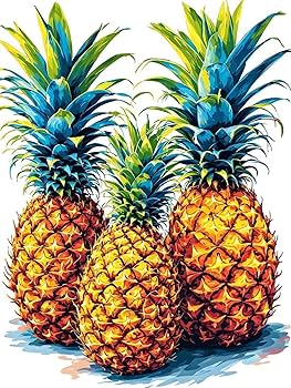 Amazon.co.jp: 数字による絵画 フルーツ パイナップル りえ大人のため