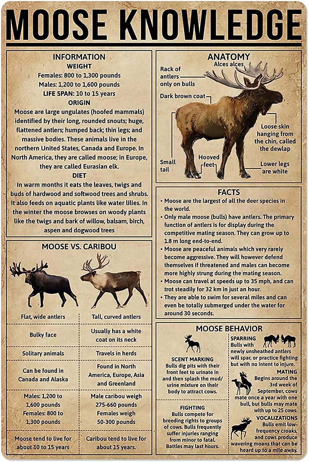 rayprint Wall Decor Moose Knowledge Metal Posters Science Education Anatomy Posters Home Decor Farm Decor Printed Plaque 12x16inches