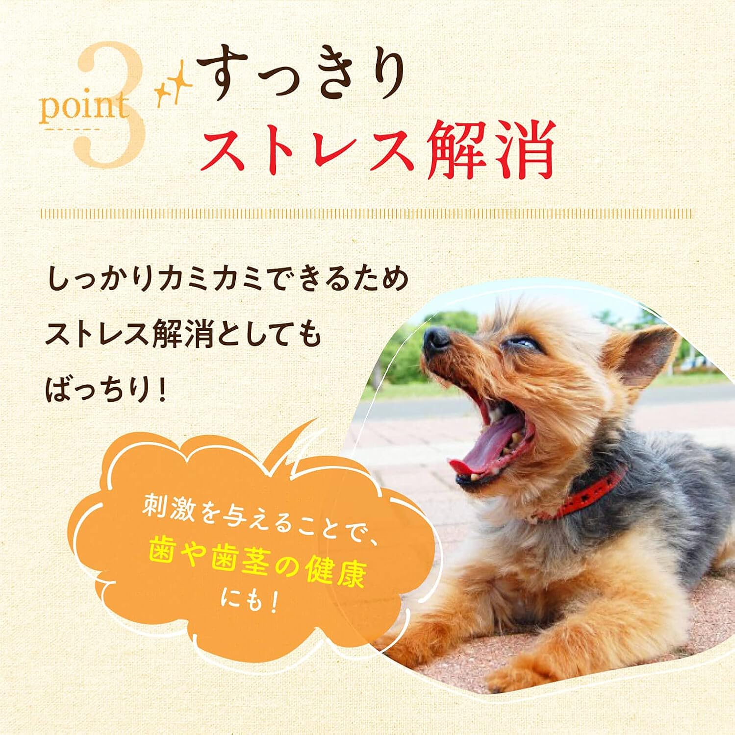 Is Horse Meat Good For Dogs