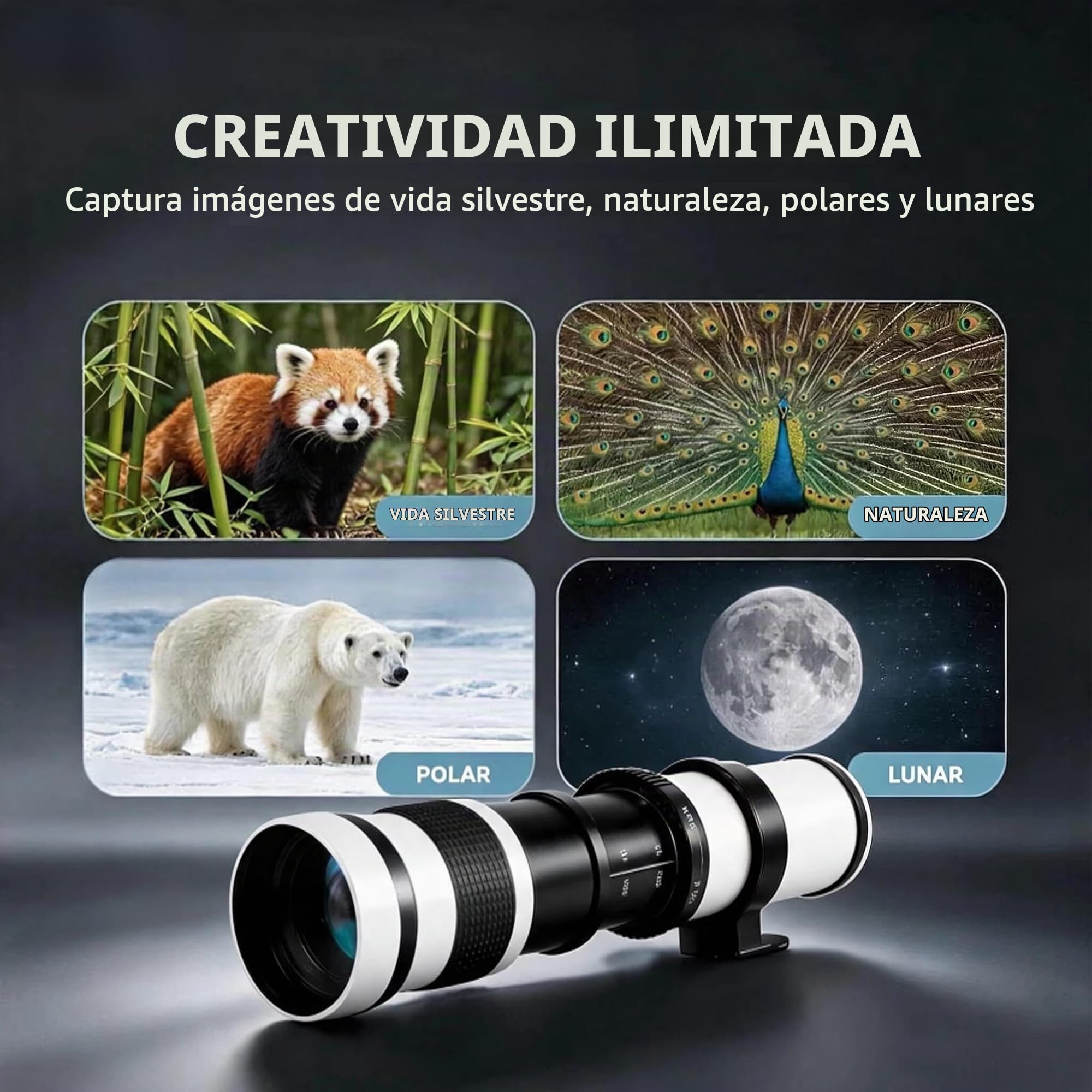 EF/F Teleobjetivo Lente JINTU 420-800mm F8.3 Objetiv EF Enfoque Manual para Canon Nikon D5300 D3400 d7200 d750 d3500 d7500 d5500 d3300 T8i T7 T7i T6 T6i 850D 750D 250D 200D 4000D 3000D 2000D 1500D