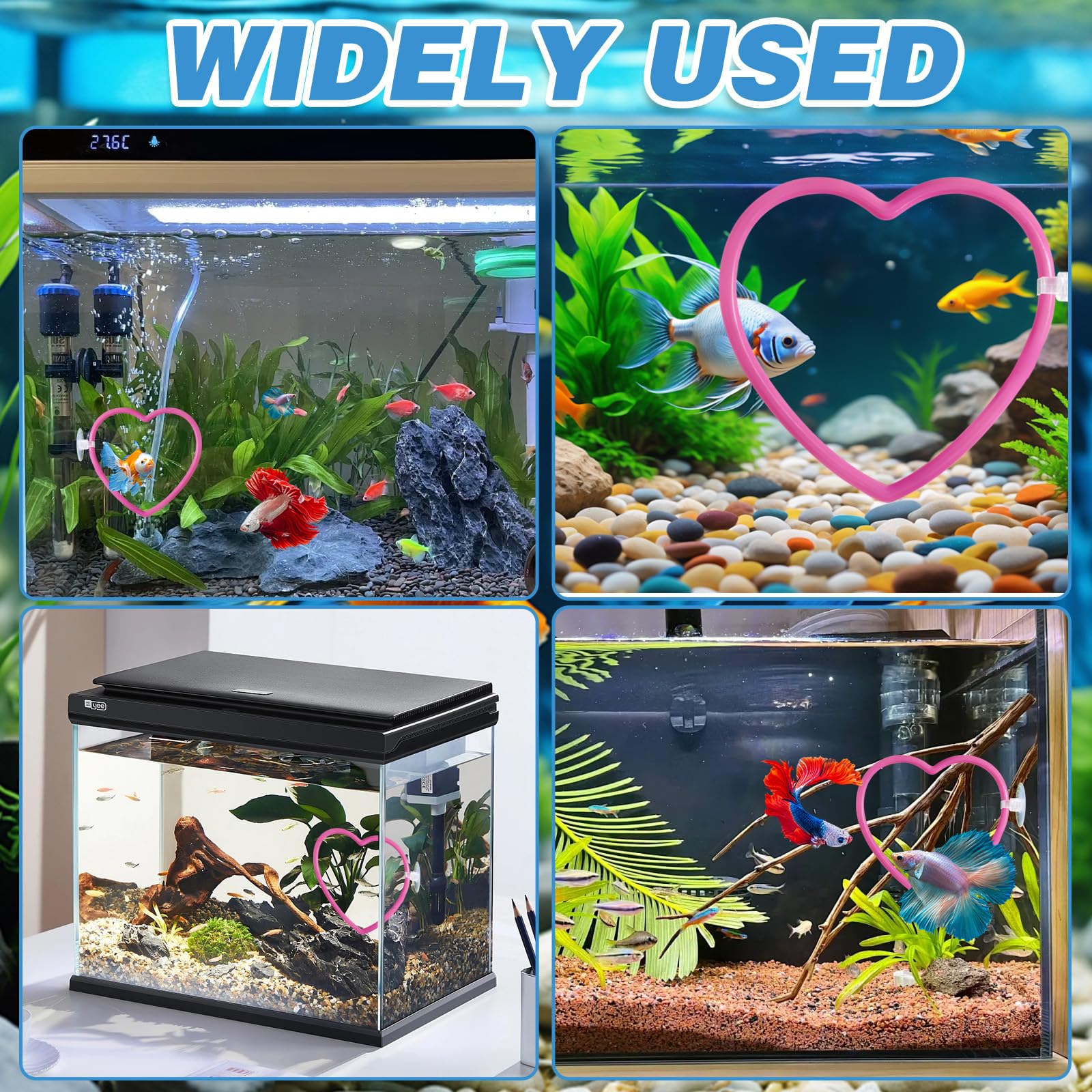 Accessoires de décoration pour Aquarium à Poissons Betta en Forme de cœur, Roses pour Poissons Betta, Accessoires d'aquarium Roses au Design et résistant