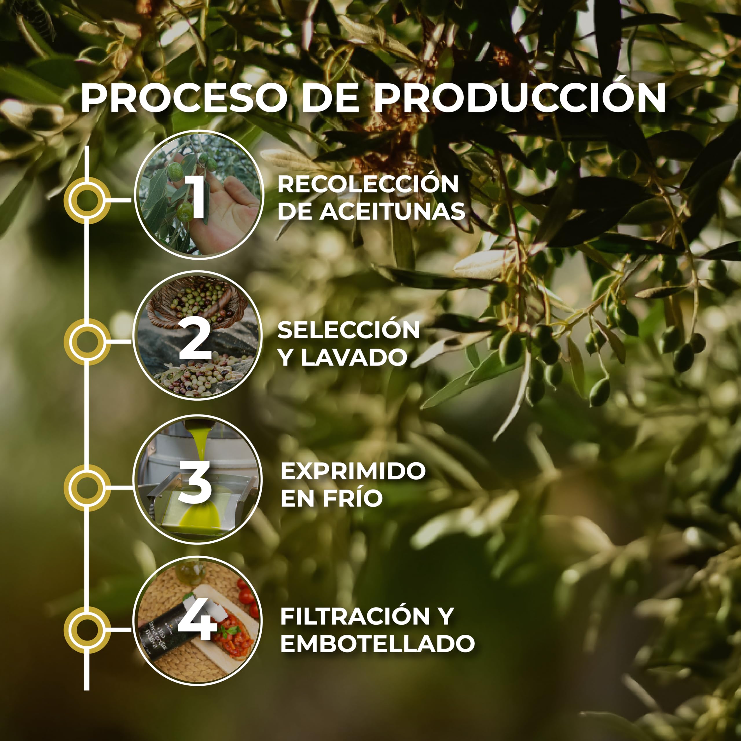 RACILIA Aceite de Oliva Virgen Extra Ecológico - Aceite AOVE Bio 100% Italiano, Prensado en Frío - 5 Litros