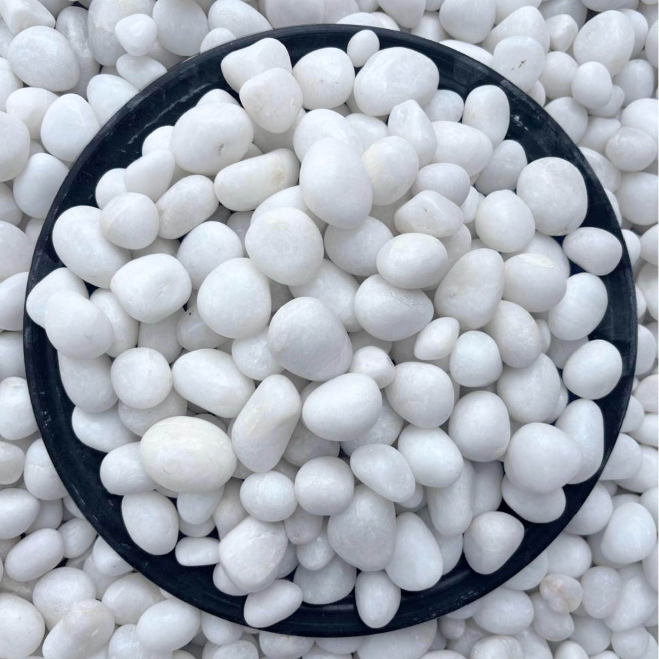Foodie Puppies Natural Polished Decorative White Stones - (Medium, 900g) (0.5cm - 2cm) for Aquarium/Fish Tank, Vase Fillers Decoration and Multipurpose Uses | River Pebble Unplanted Substrate-image-22