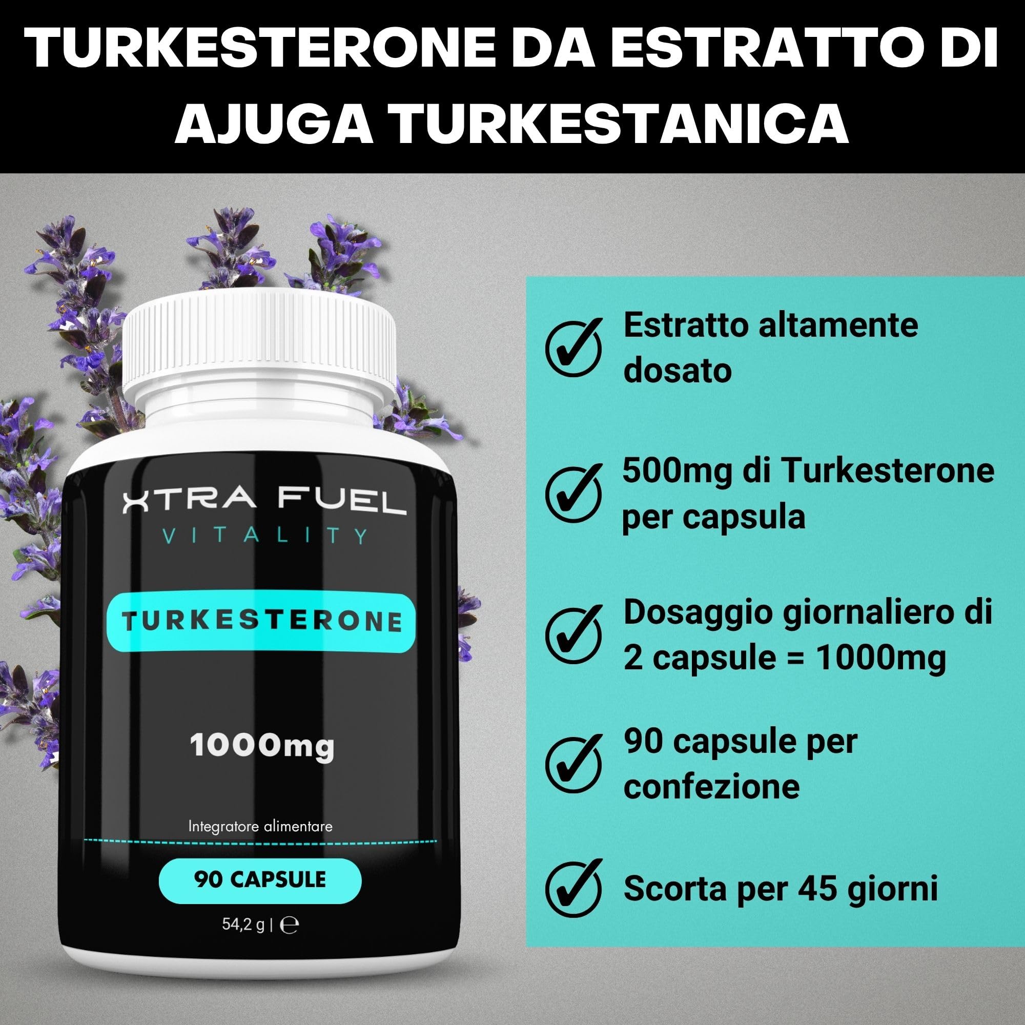 Premium Turk. Capsule - 1000 mg di dose giornaliera - 90 capsule (dose elevata) - Estratto naturale e testato in laboratorio - Popolare per il bodybuilding e l'allenamento con i pesi
