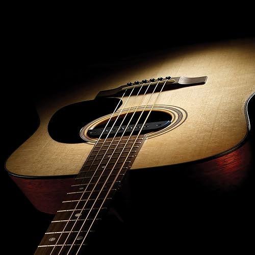 Miniatura 3 de Fishman Blackstack Passive Soundhole Pickup