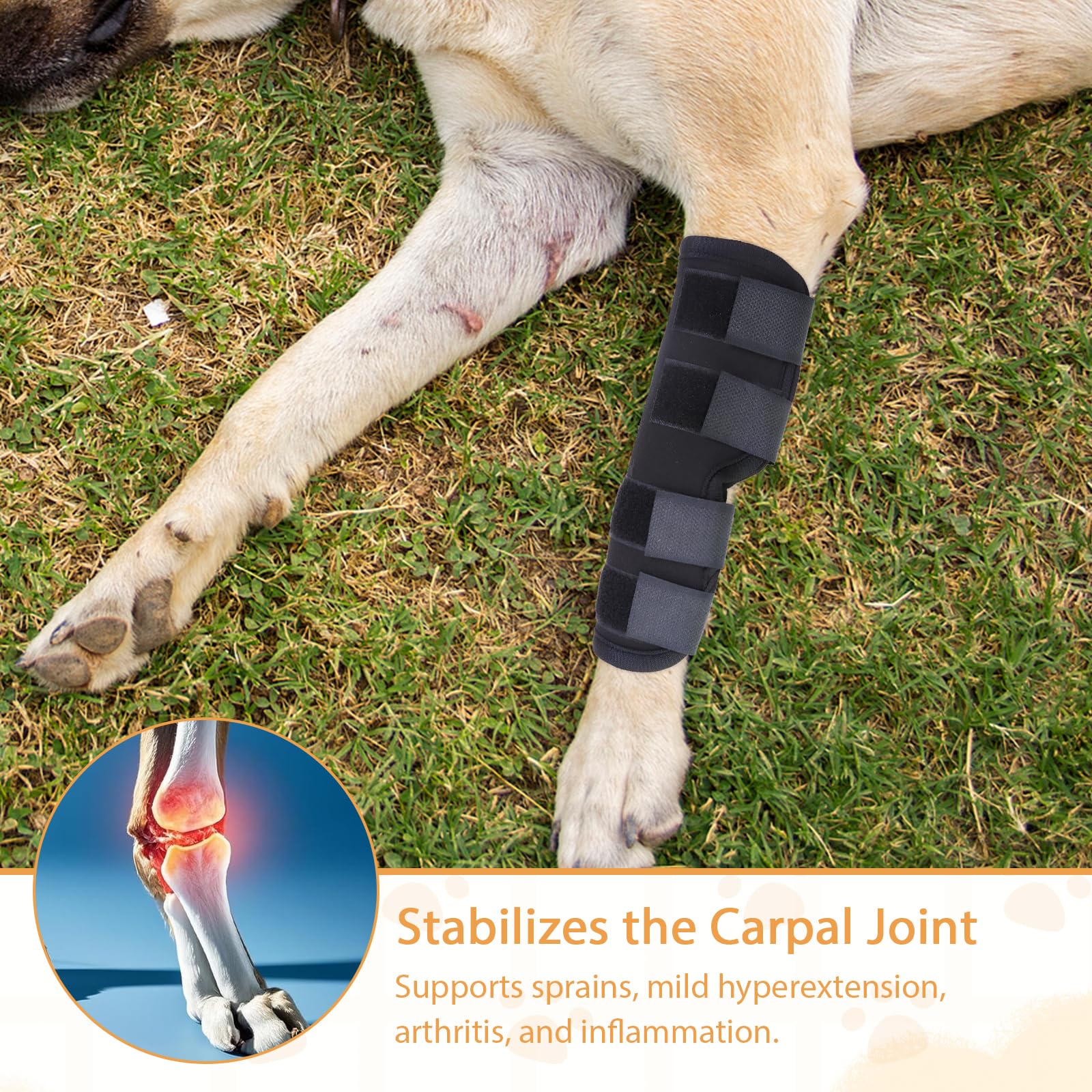 2 tobilleras para perros, cómodas, ajustables, rodilleras traseras para perros, para patas delanteras y traseras, para evitar lamer, vendaje para perros para heridas, para la curación de