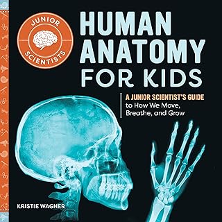 Anatomy Book For Kids Picks collage image 3