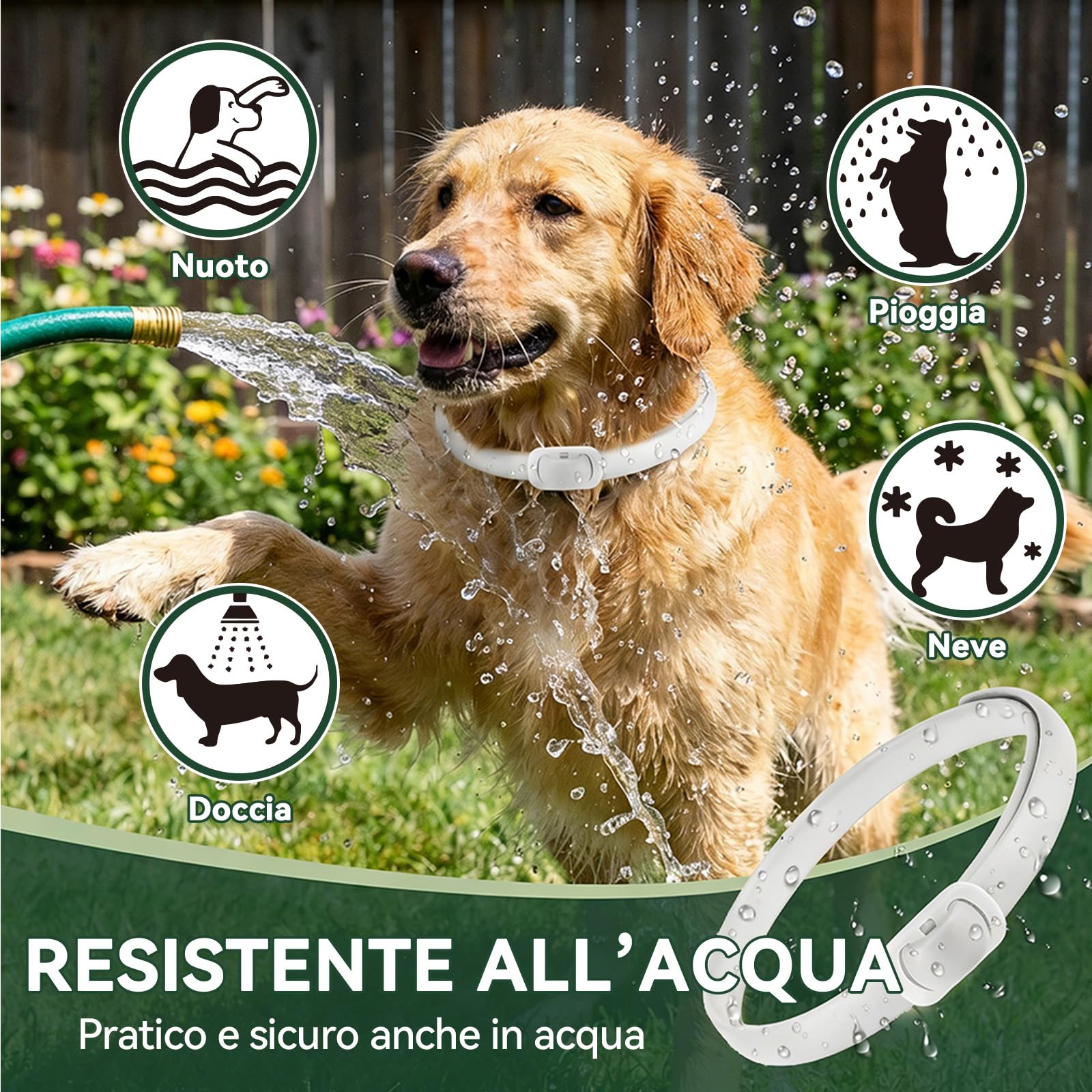Collare Antiparassitario per Cani, Collare Antipulci Cane, Protezione Efficace, Naturale, Impermeabile, Regolabile, Collari Antiparassitari per Cani per Piccoli, Medi e Grandi a Tutte le Razze,65cm