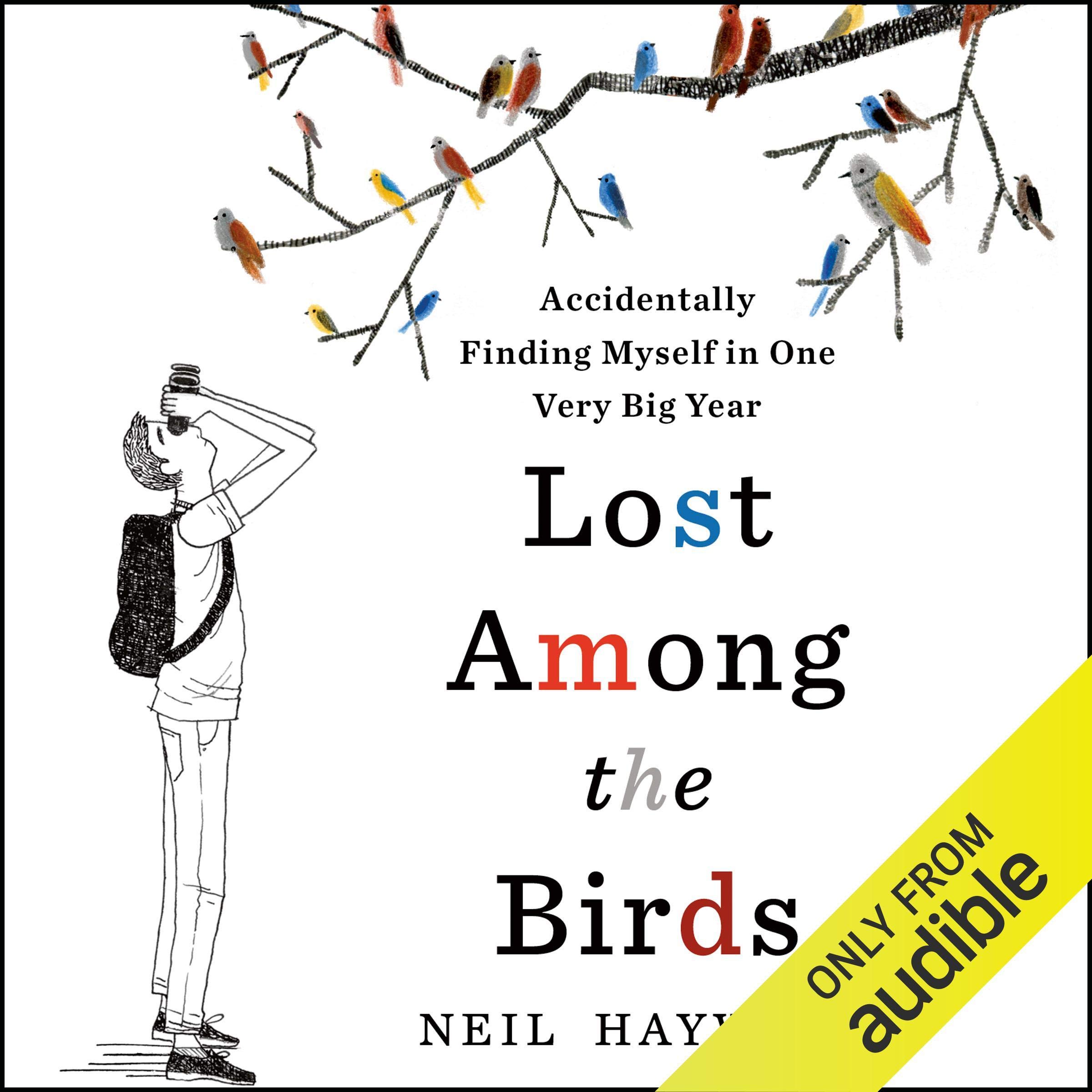 Cover art for Lost Among the Birds