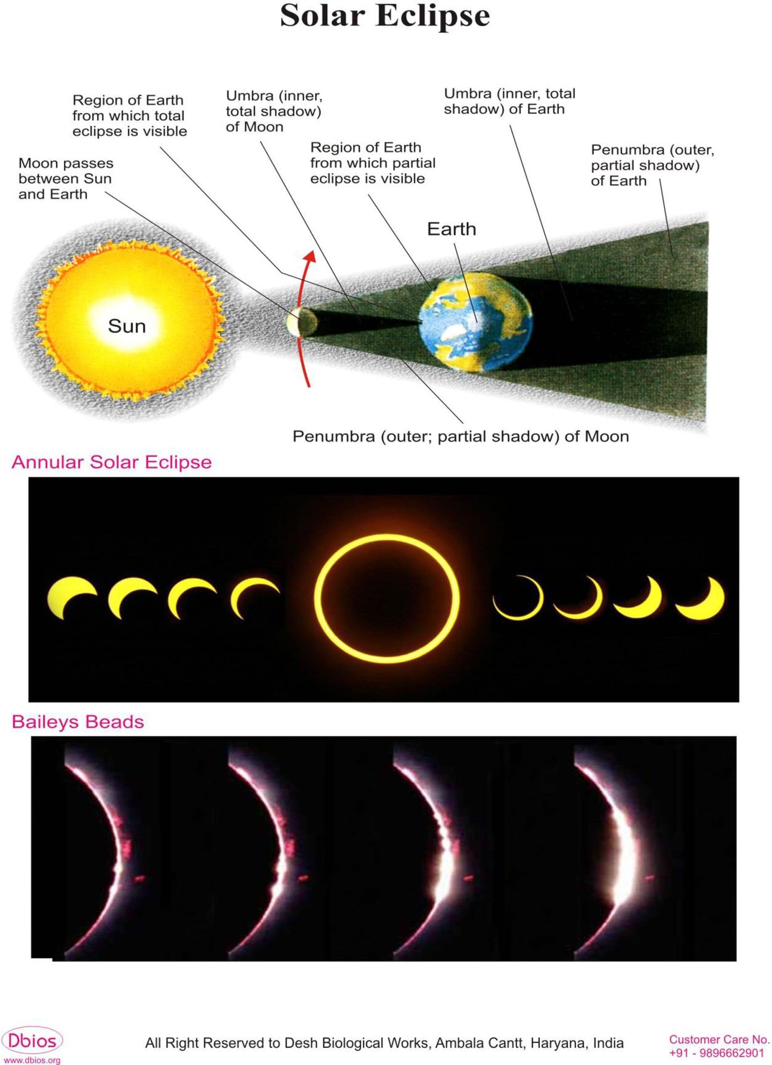 Dbios Digitally Printed Solar Eclipse Laminated Educational Wall Charts