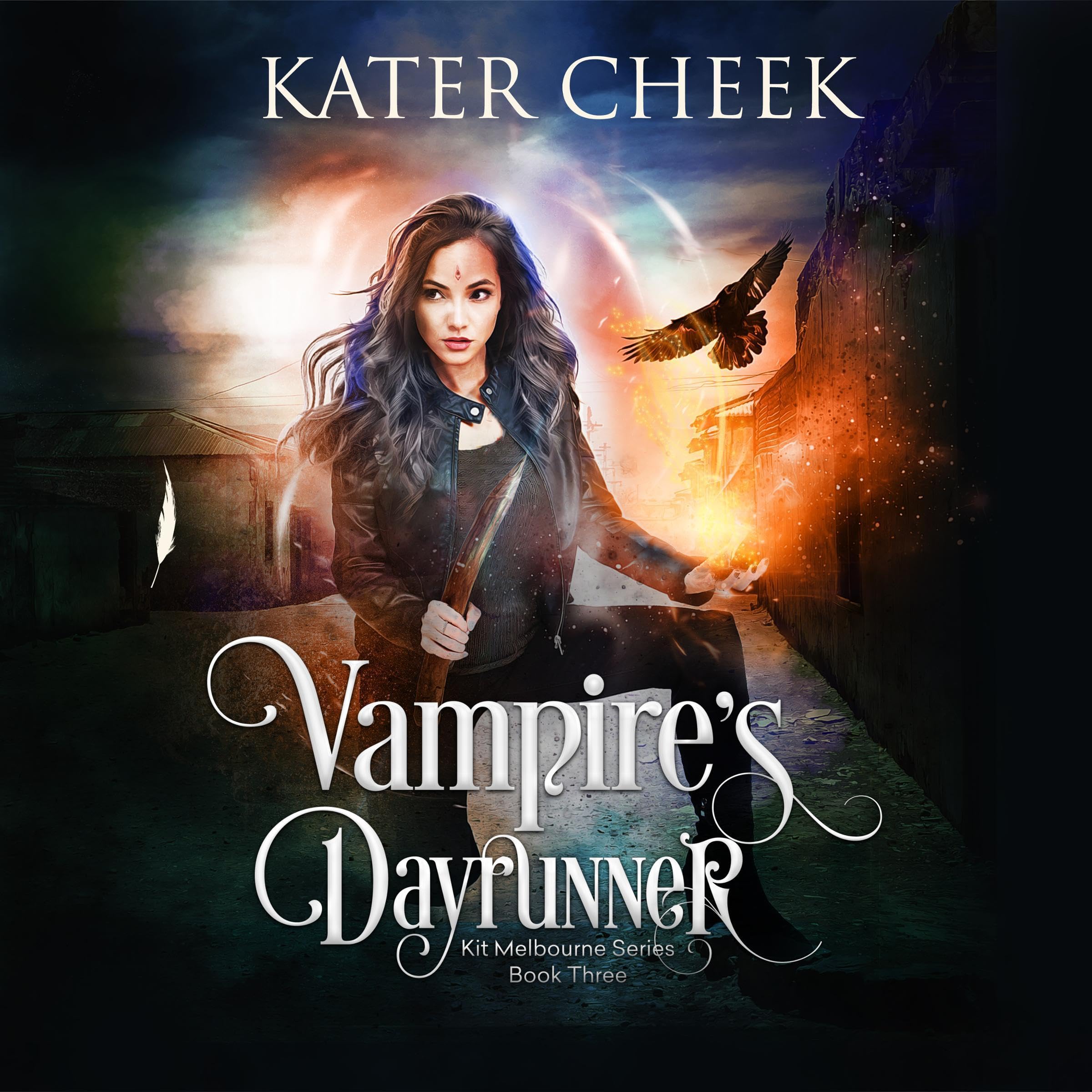 Cover art for Vampire's Dayrunner