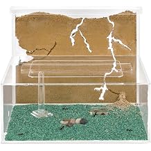 Anthouse. en - Natural Sand Ant - Acrylic Ant Tree Kit L Sandwich + Foraging Box - Ant Farm with Cologne of Ants Included - 25x20x1cm and 10x24x10cm - Transparent