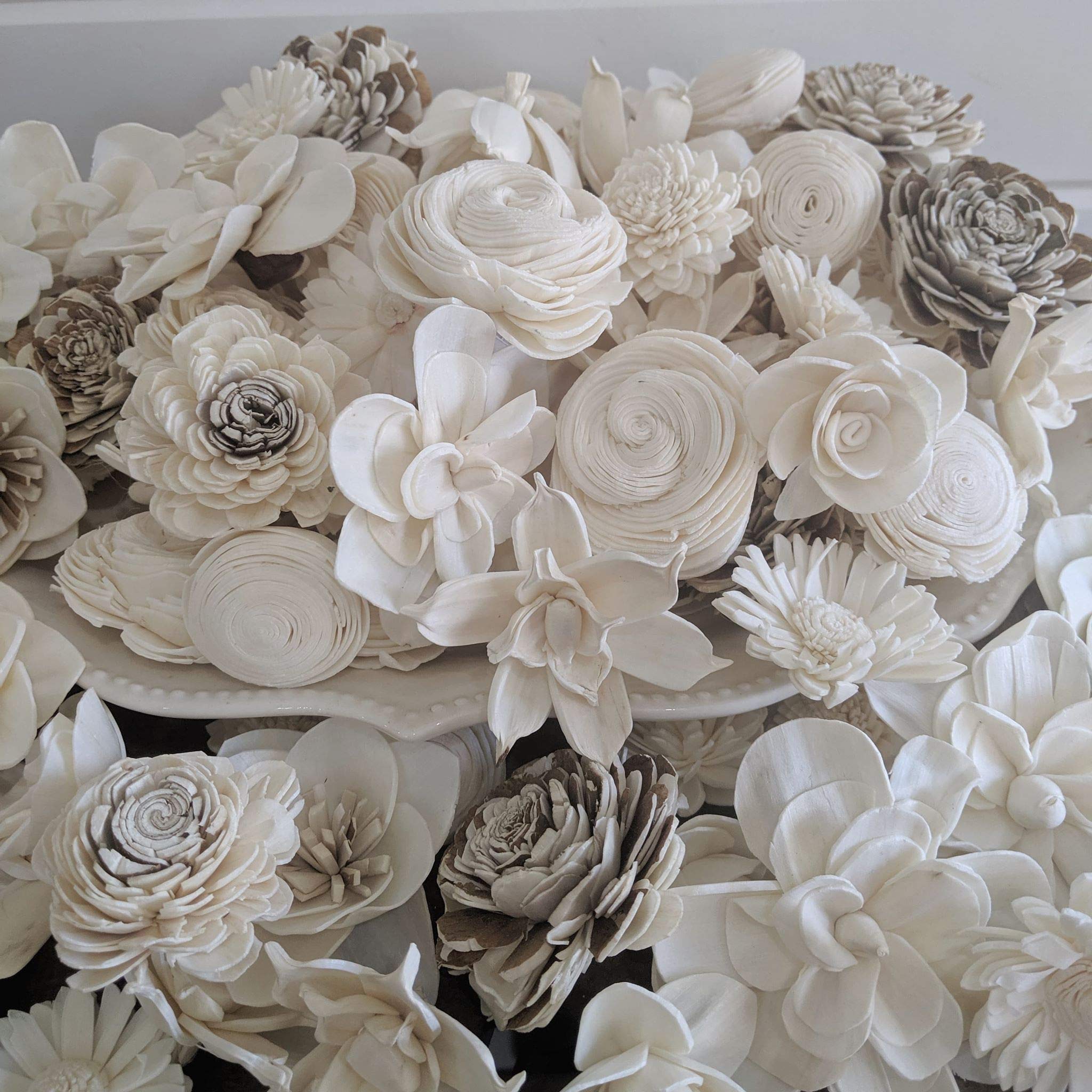 Amazon.com: 100 Sola Wood Flowers, Variety Assortment : Home & Kitchen