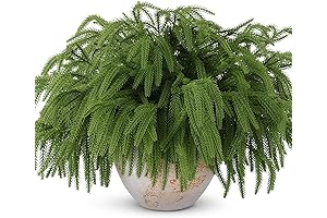 Pine Stems 12 Pack: Bring Festive Nature Indoors