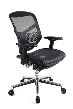 Amazon.co.jp: 【旧型】 エルゴヒューマン エンジョイ オフィスチェア