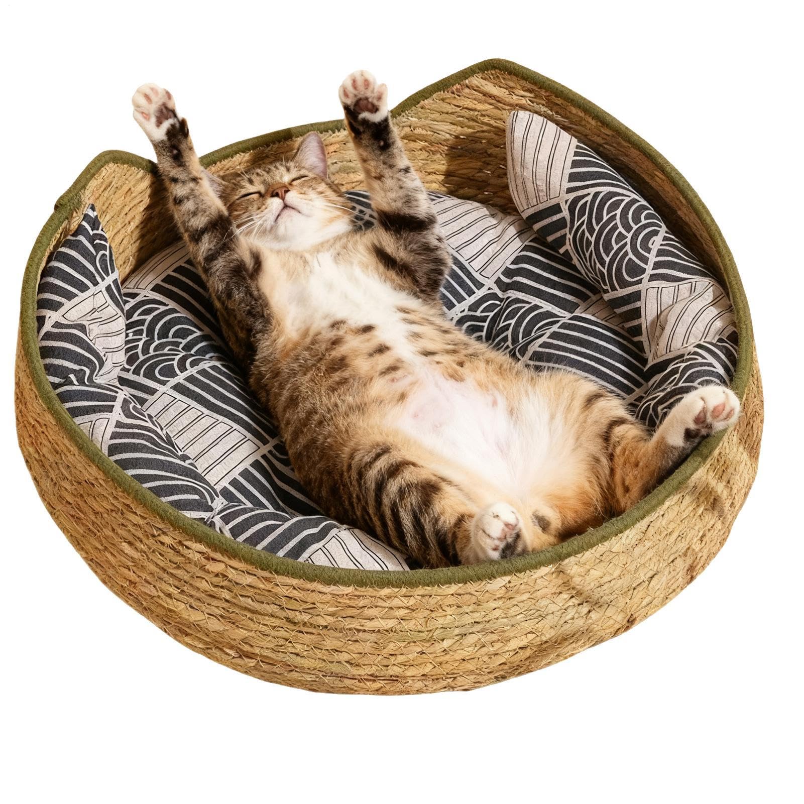 Lit rond pour chat et petit lit d'intérieur avec oreiller moelleux