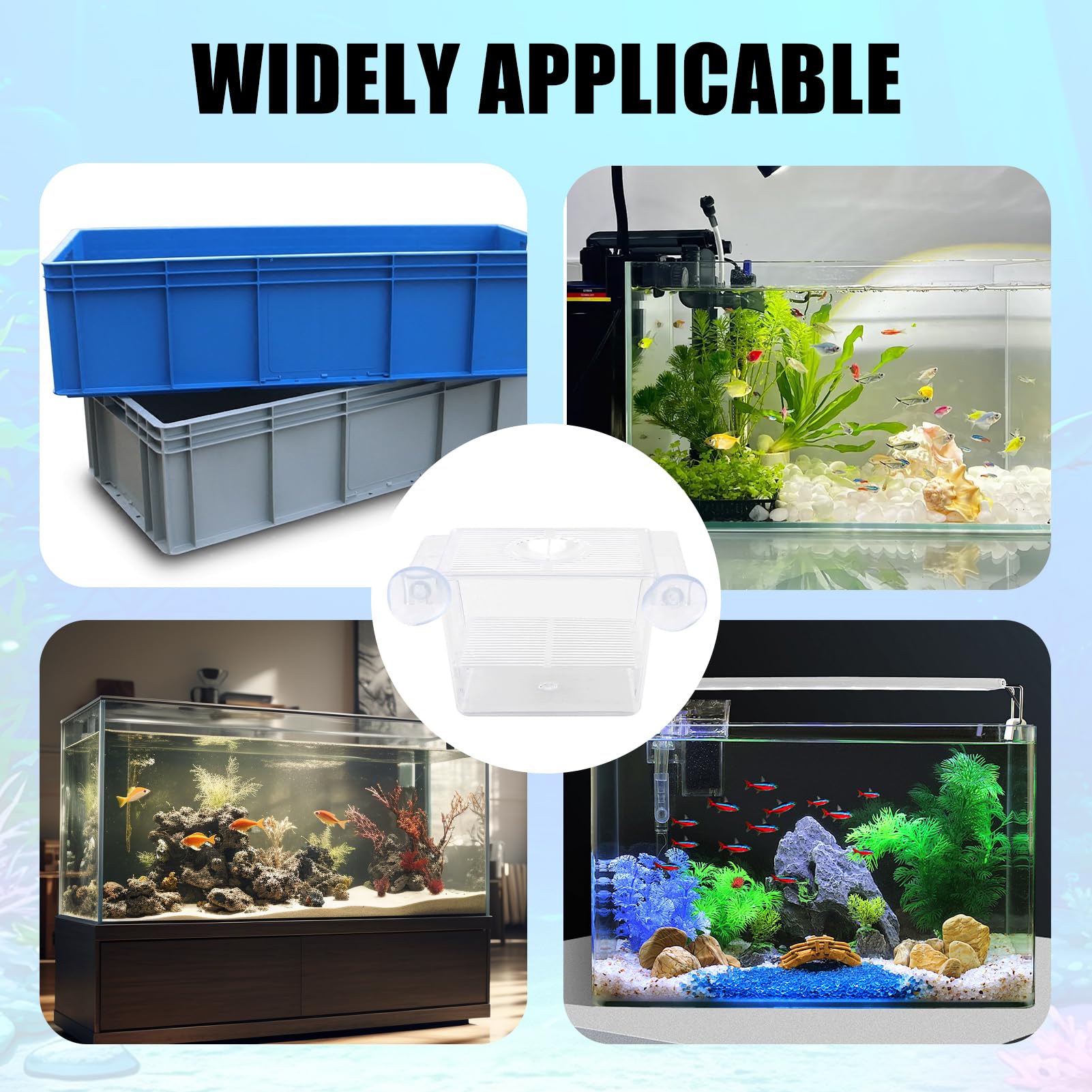 Scatola per l'allevamento di Pesci in Acrilico con Ventose, Isolatore per Acquario Ideale per Acclimatazione Pesci e Gamberetti, Box per Incubazione di Avannotti e Protezione Pesci Piccoli