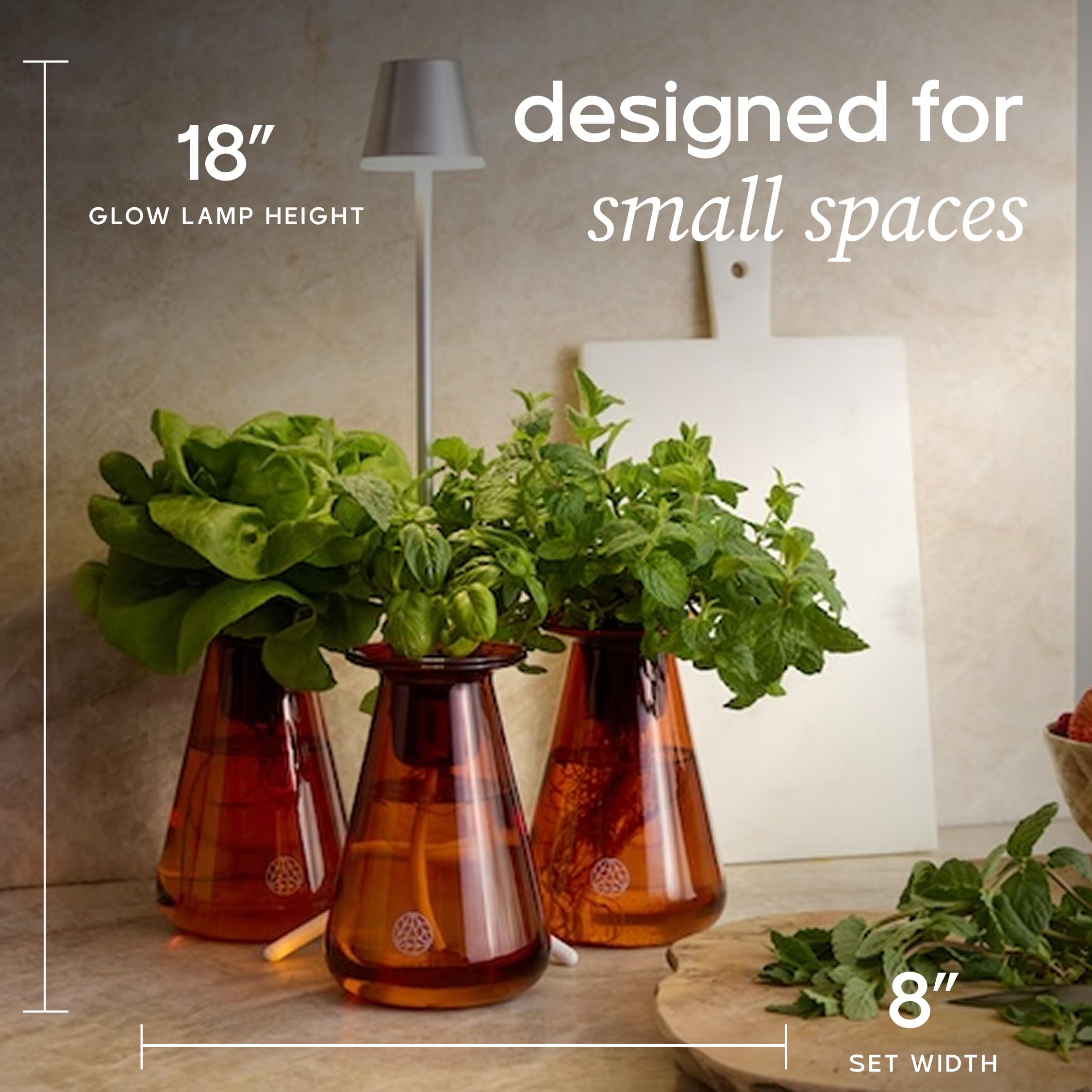 Lettuce Grow Ensemble de comptoirs – Vase pour plantes d'intérieur comestibles pour plantes et laitues – Système hydroponique pour petits espaces – Décoration d'intérieur et cadeau – avec plantes