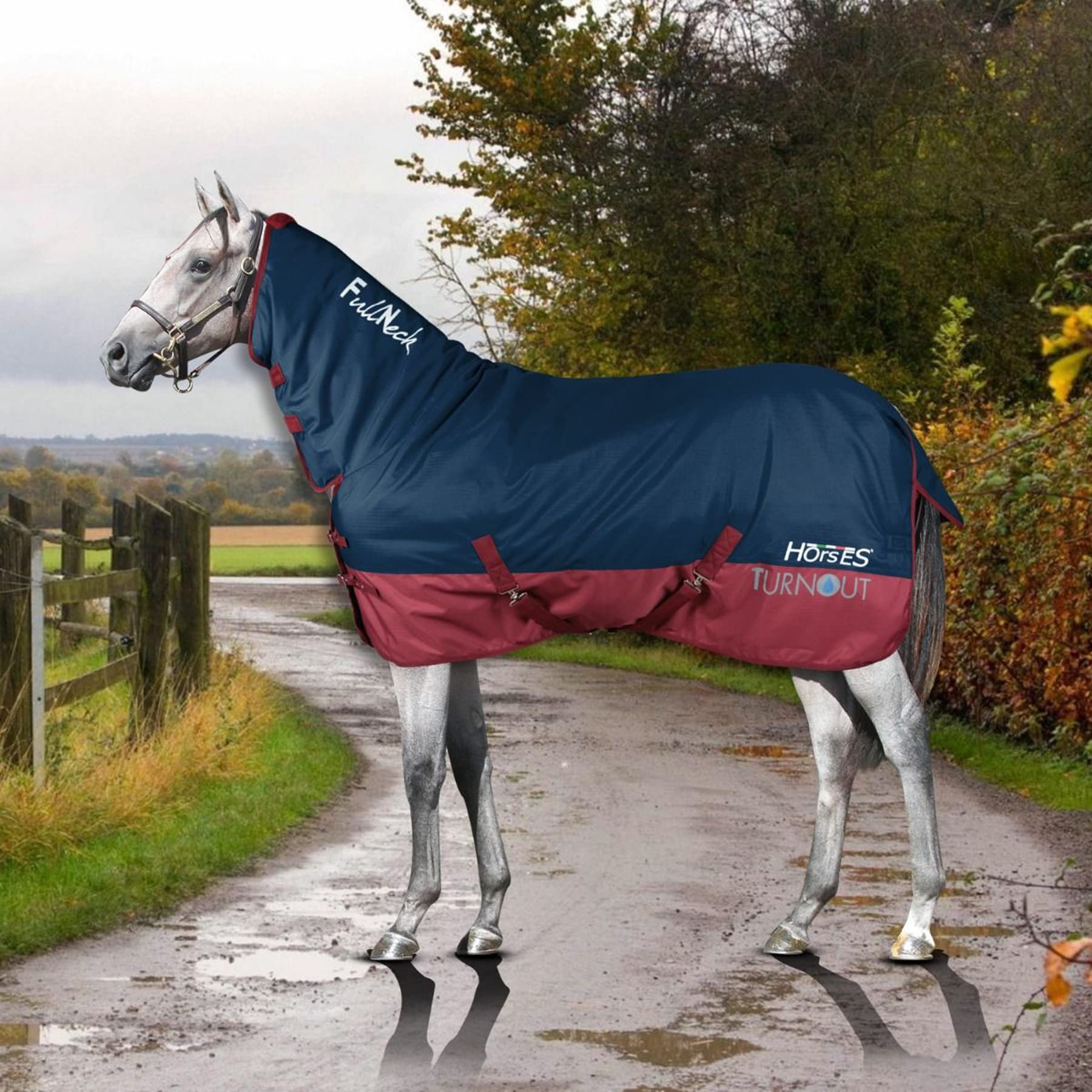 Horses, Coperta da Paddock per Cavallo Turnout Full Neck 400gr, Impermeabile, con il Copricollo Fisso, Resistente, con Cinghie ad Incrocio, Blu/Bordeaux 145 cm