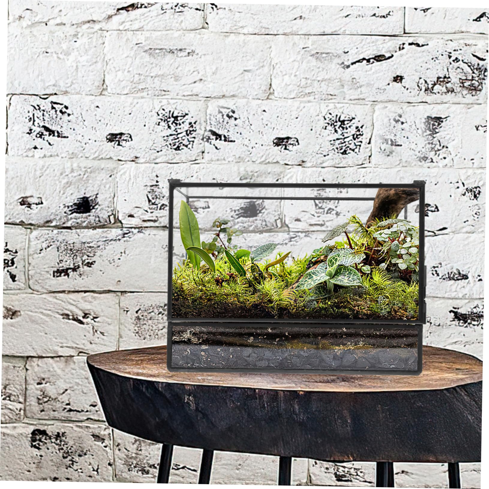 Terrarium in Vetro Geometrico per Piante, Decorazione Tavolo
