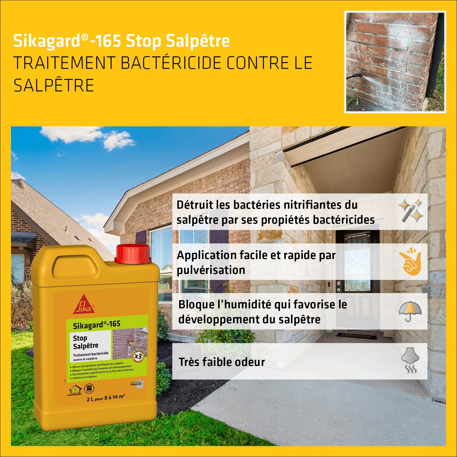 SIKA - Résine pour traitement intérieur des murs humides - Anti-moisissure - Anti-humidité -2L + Traitement bactéricide contre le salpêtre - Intérieur et extérieur - Prêt à l'emploi - 2L pour 8 à 14m²
